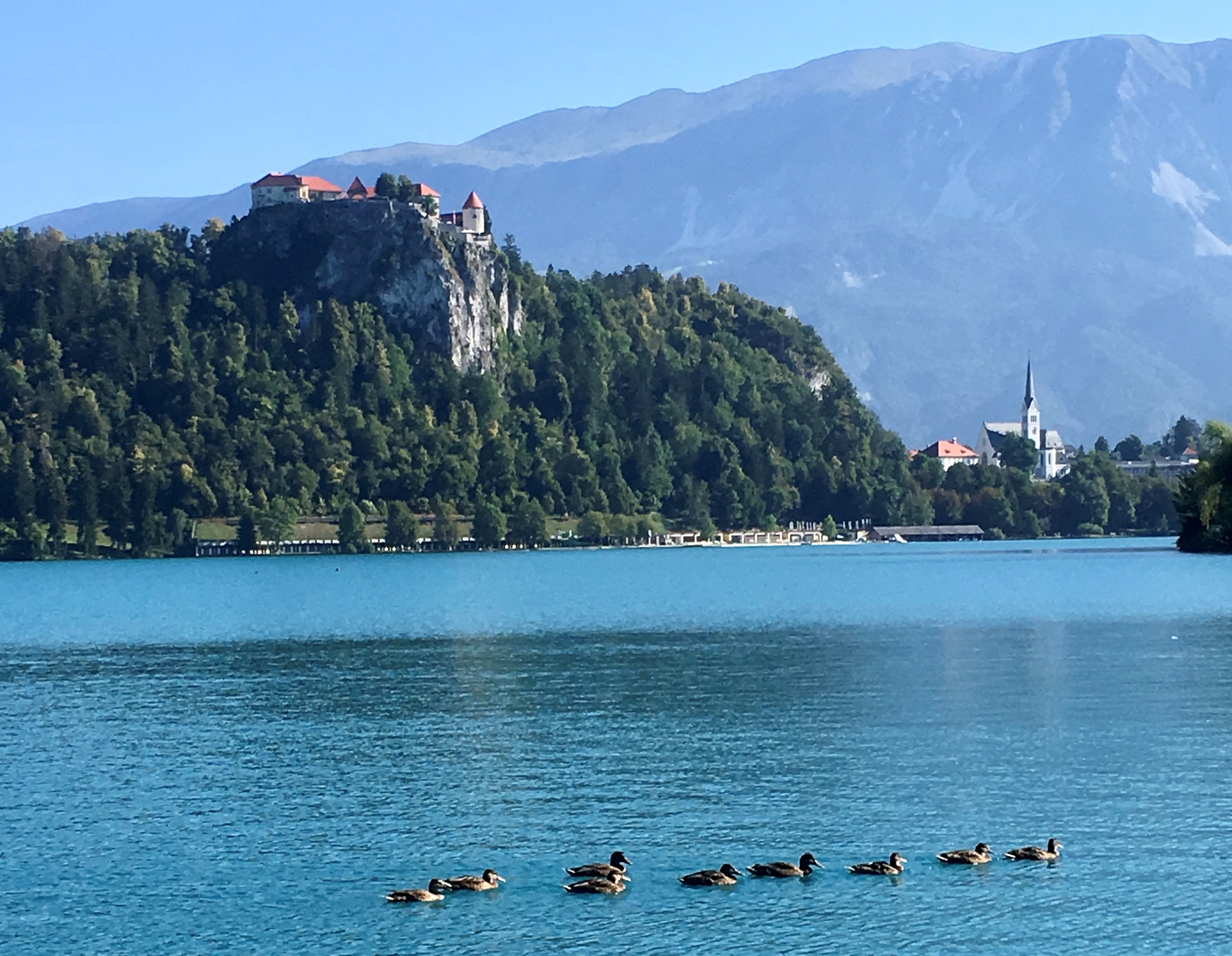 Bled, Blejsko jezero