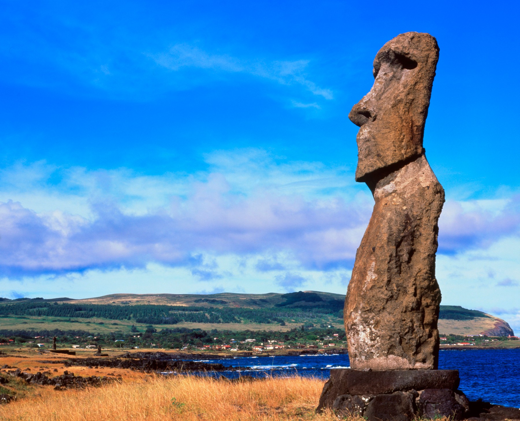 Easter Island moai statue