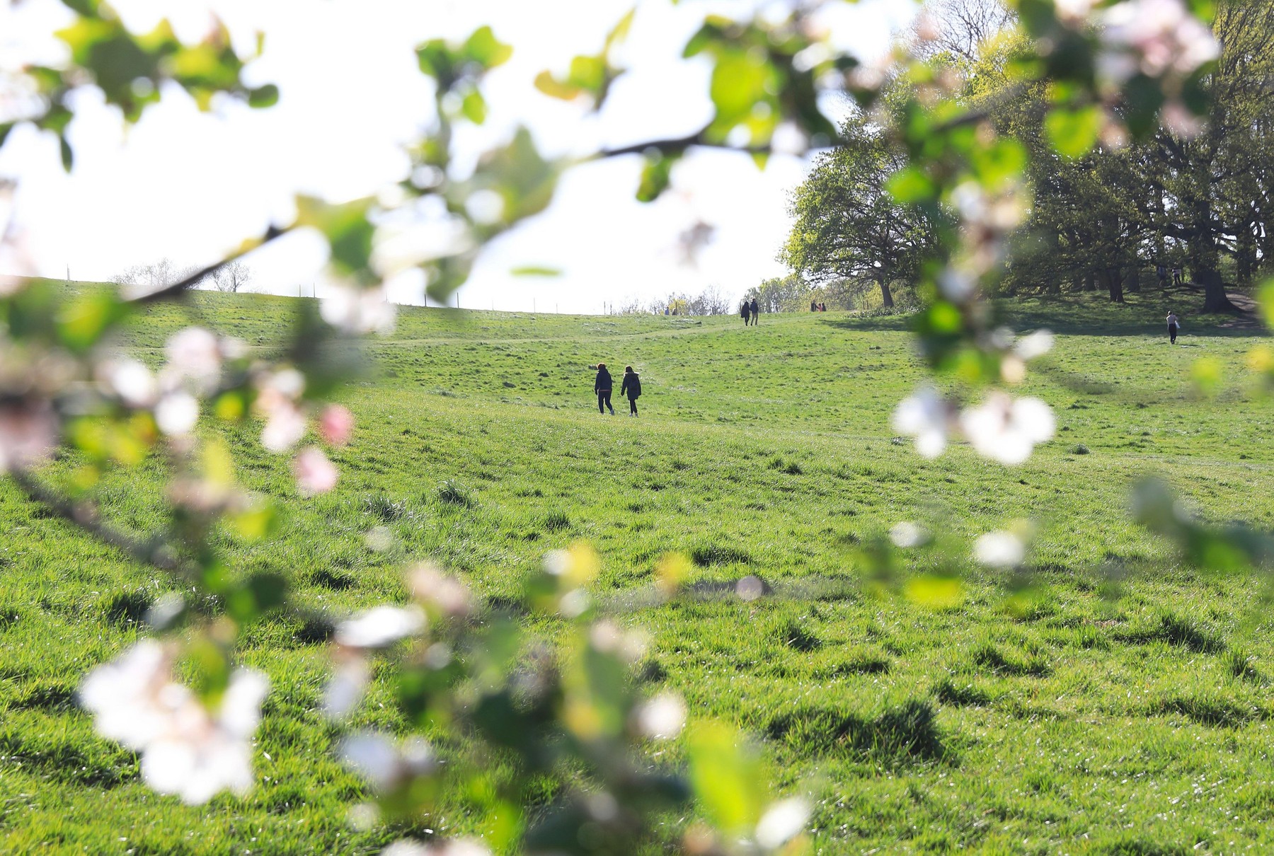 People out exercising on a chilly but sunny Easter Monday on Parliament Hill in the coronavirus lockdown, north London, UK