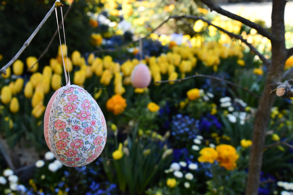 signal-2022-04-17-153657_004