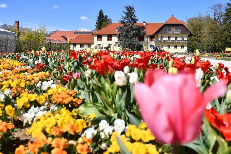 signal-2022-04-17-153657_005