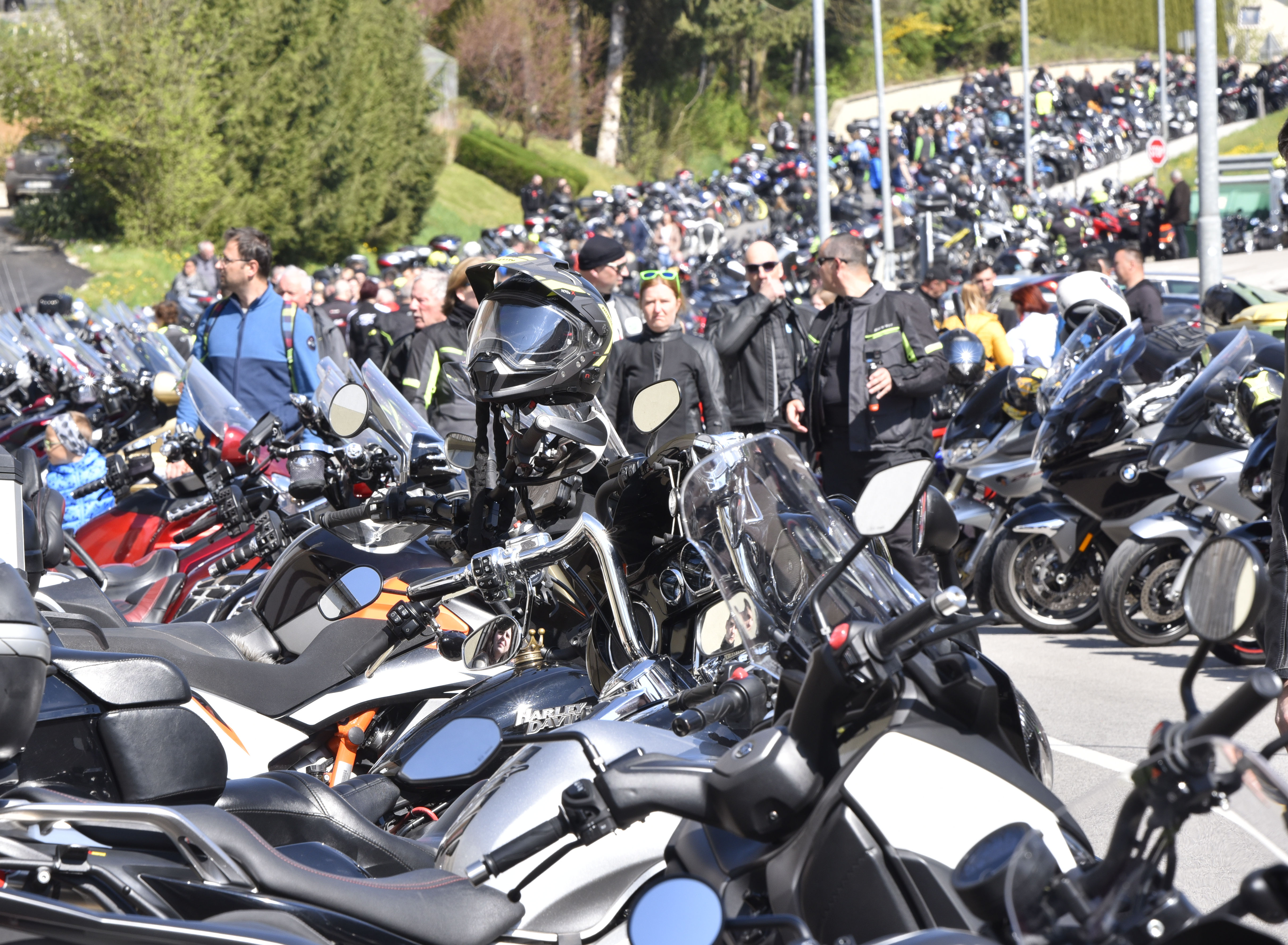 Žiga Živulovič jr./BOBO