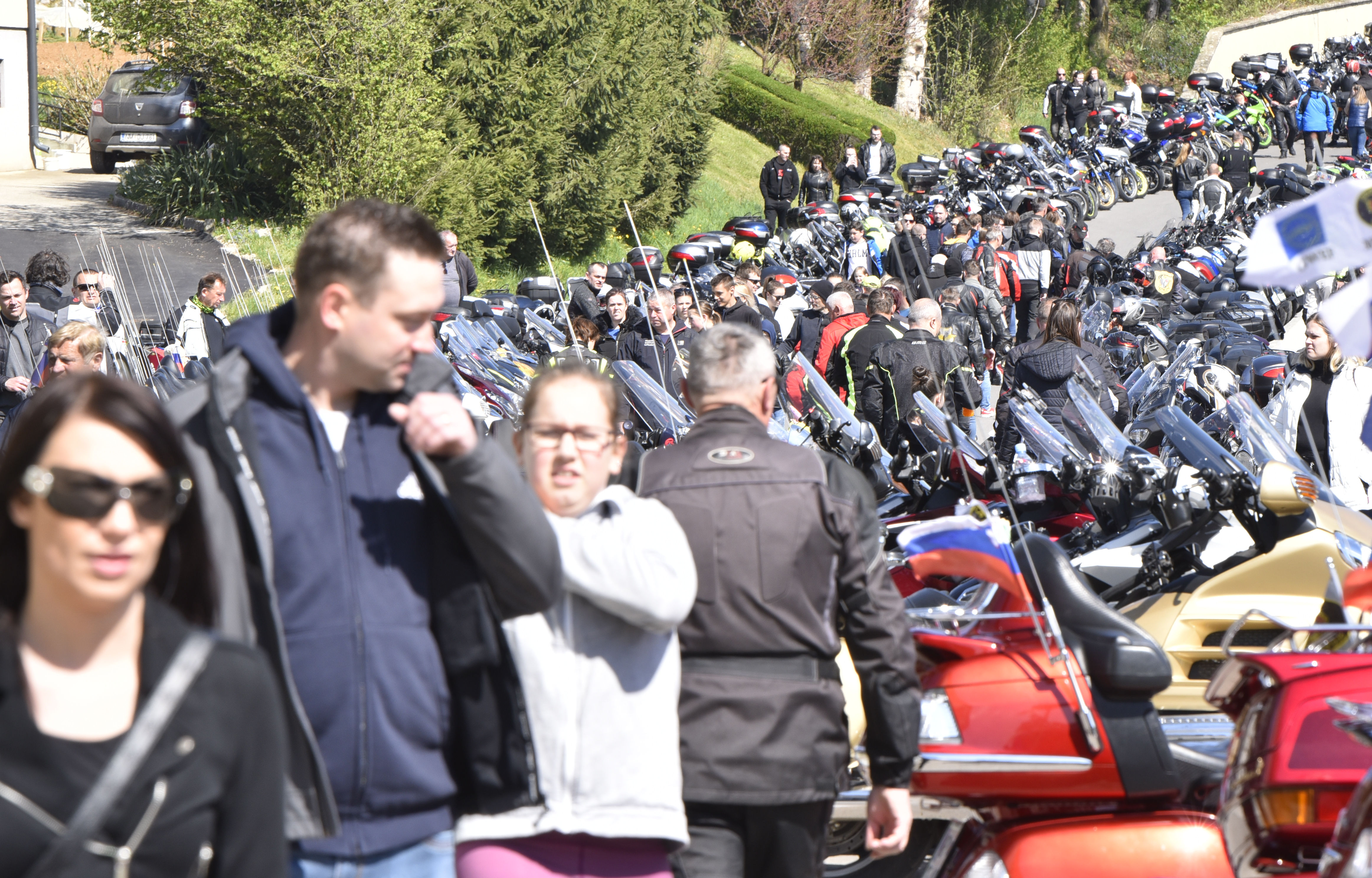 Žiga Živulovič jr./BOBO