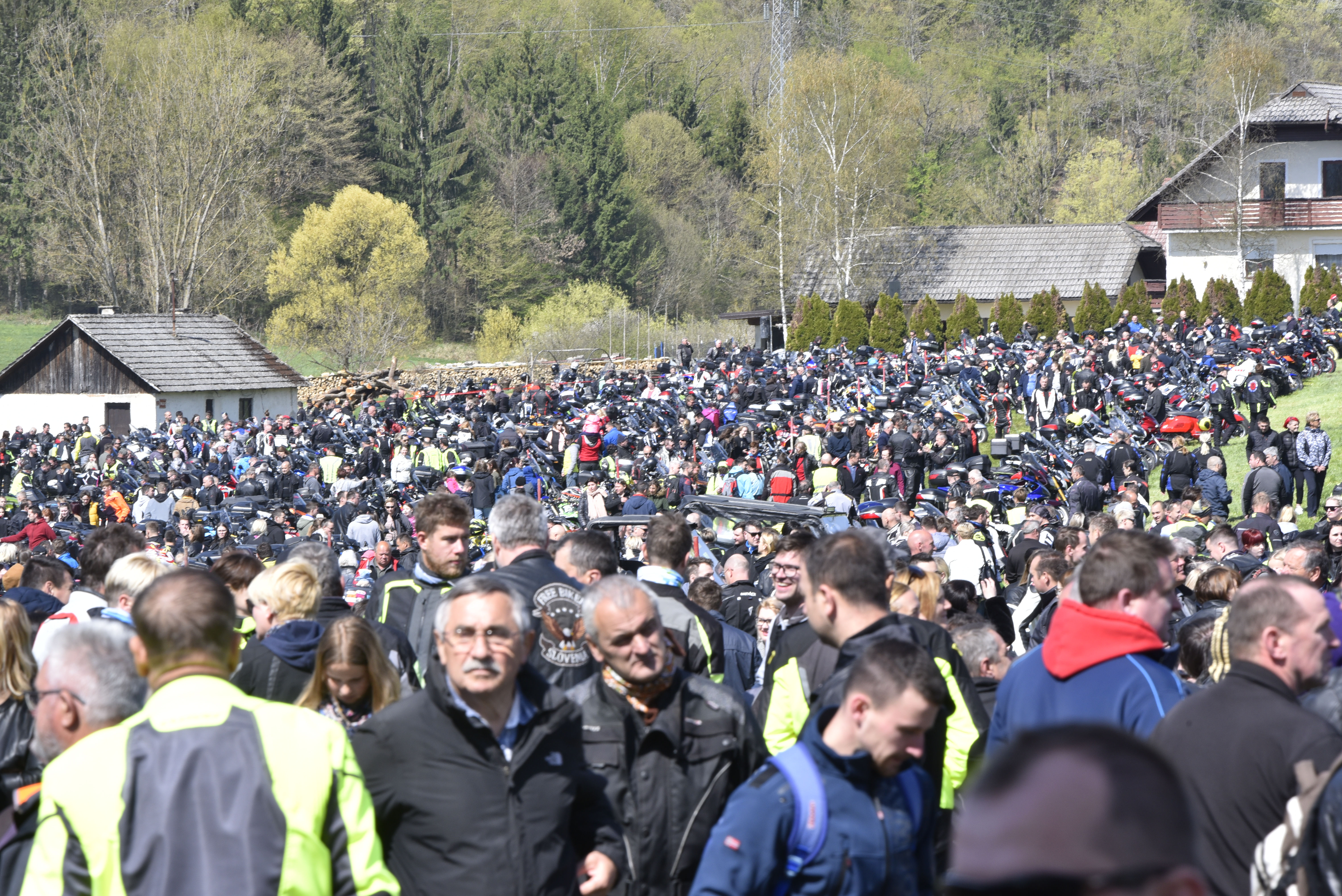 Žiga Živulovič jr./BOBO