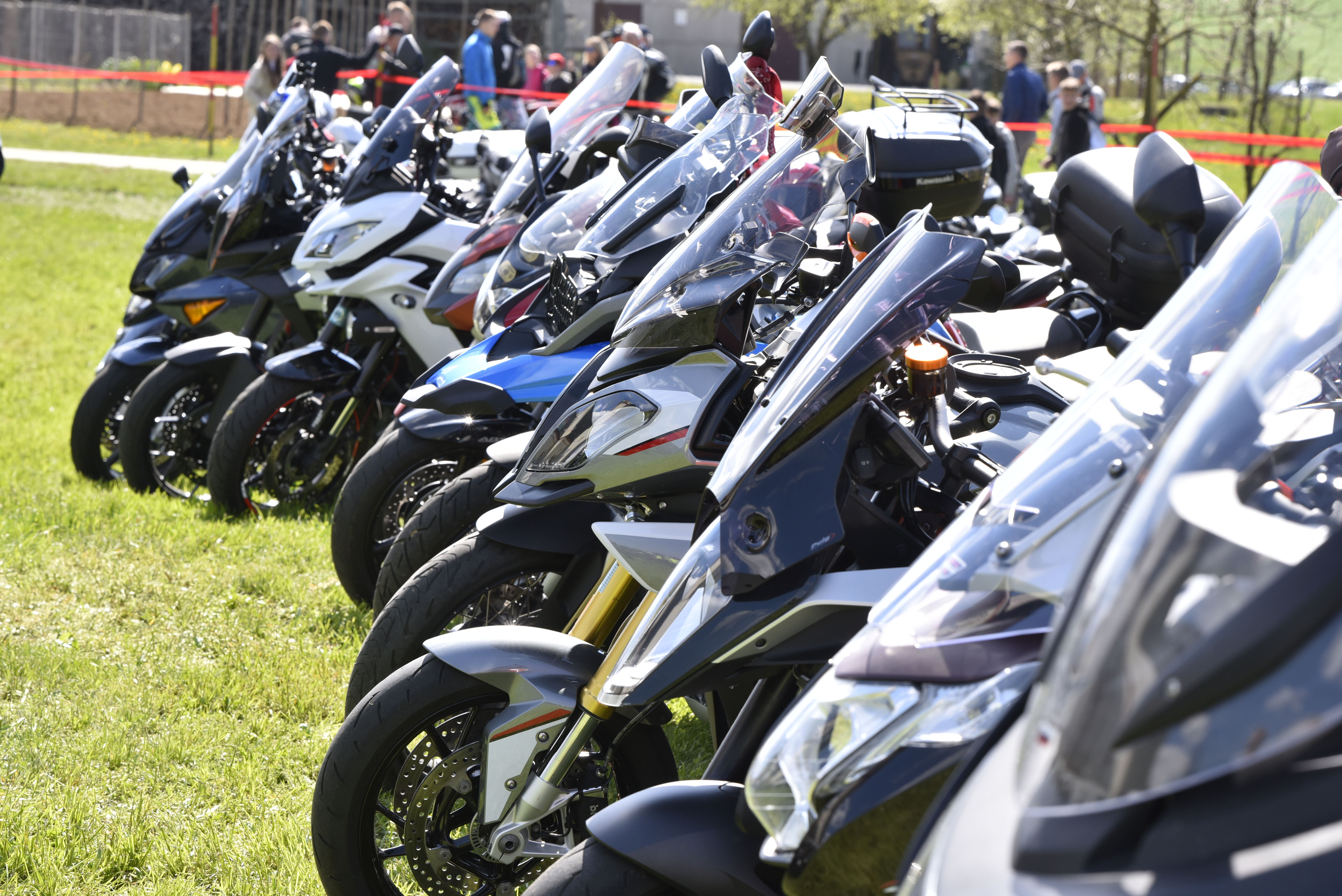 Žiga Živulovič jr./BOBO