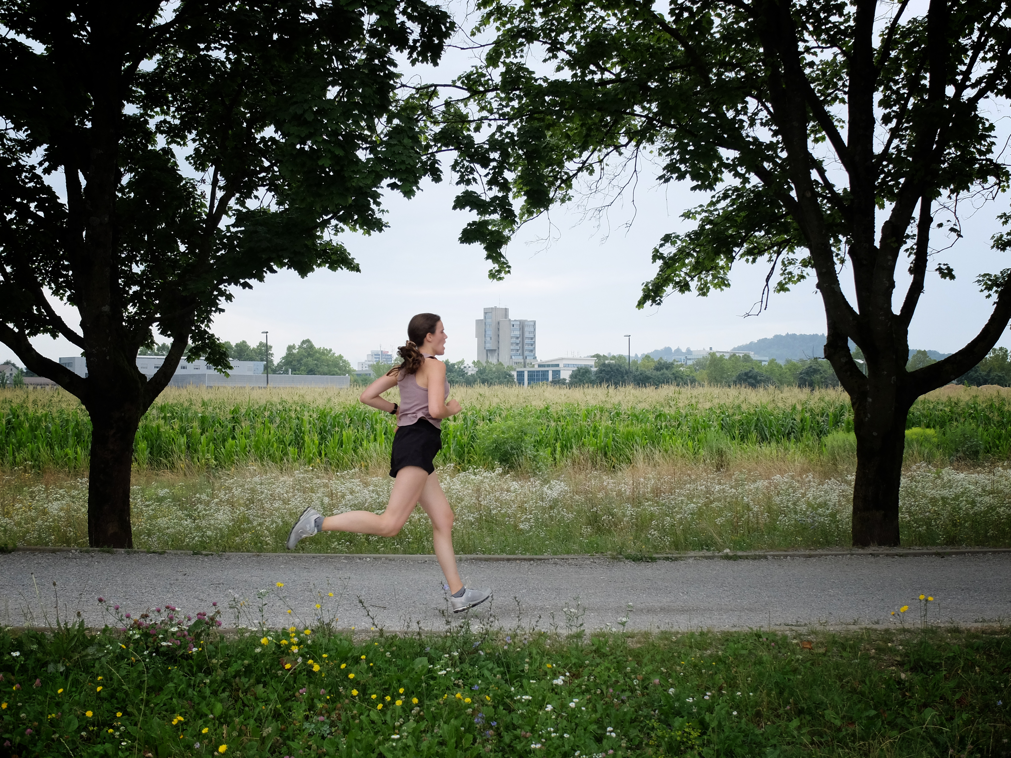 Rekreacija, PST, pot ob žici