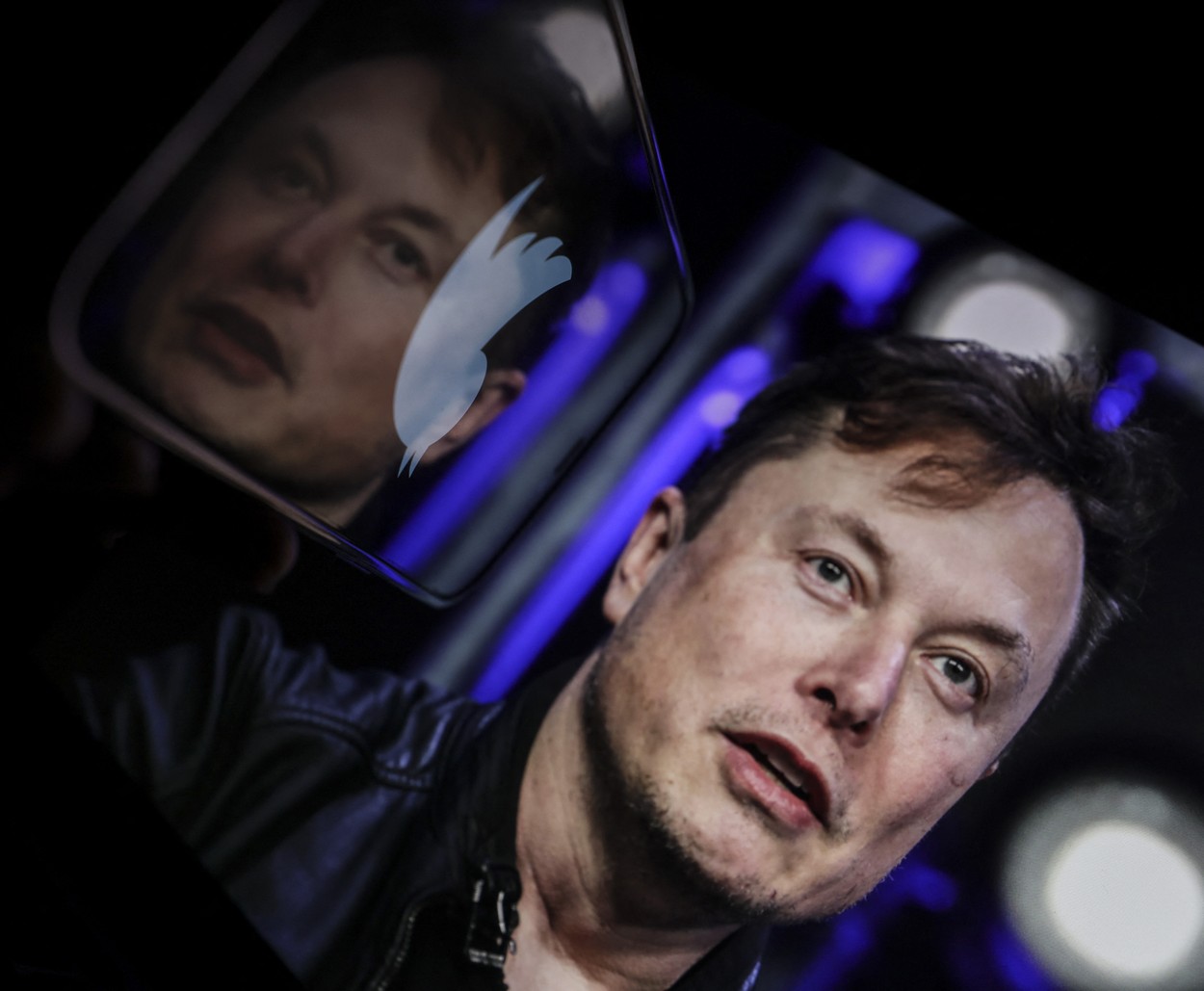 elon musk, twitter