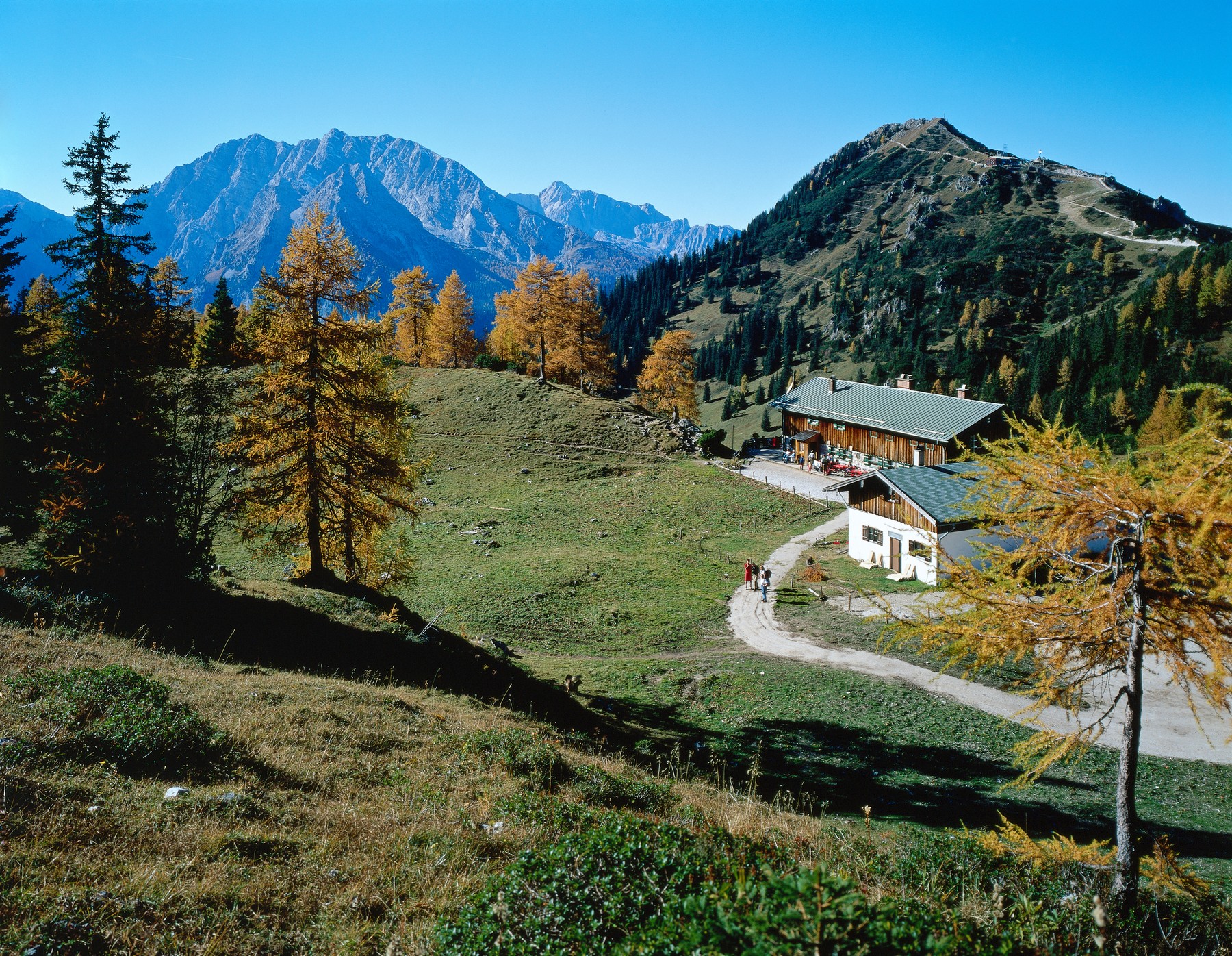 gore, planinska koča, narava