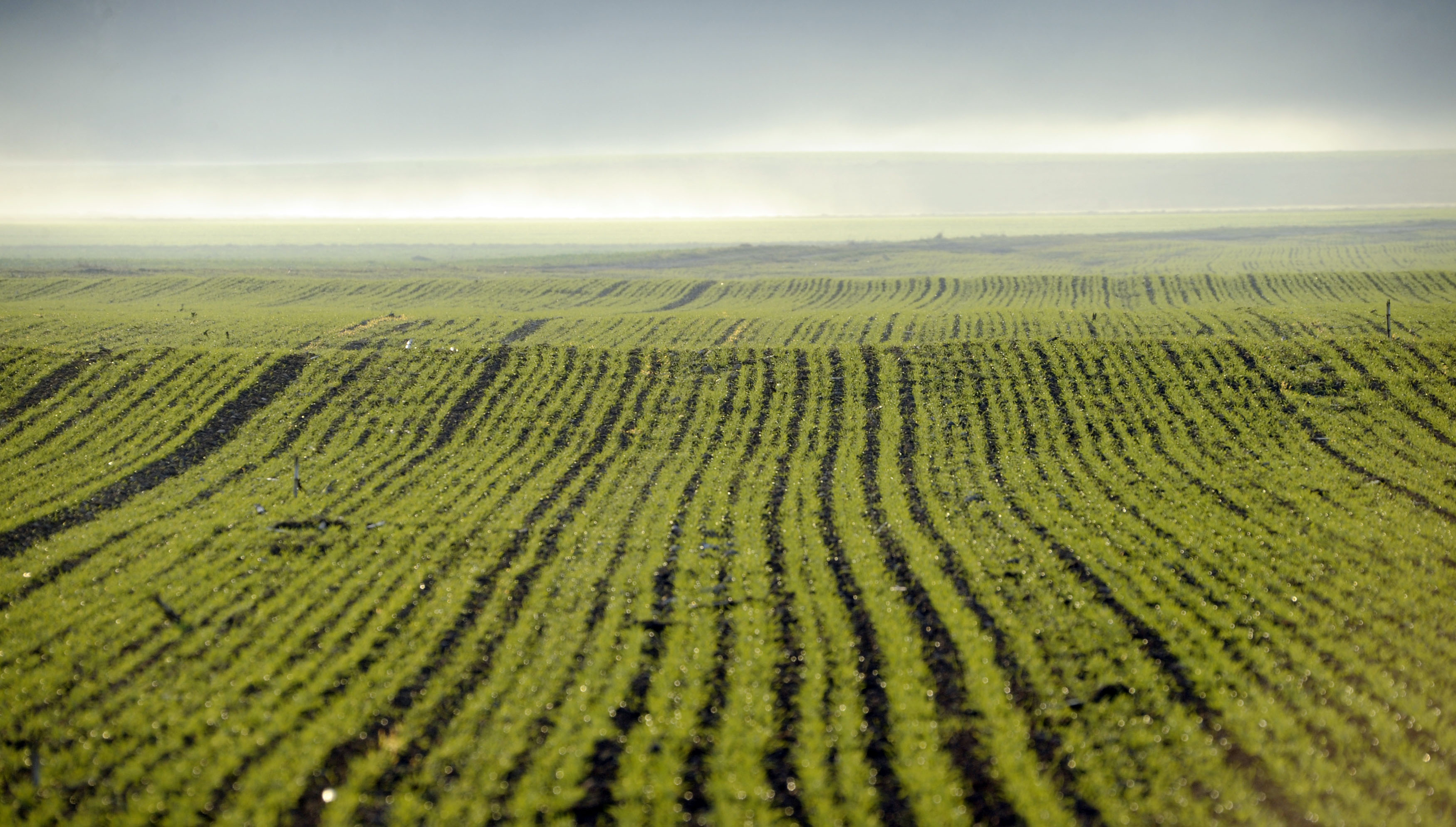 NARAVA KMETIJSTVO POLJSCINE NJIVA