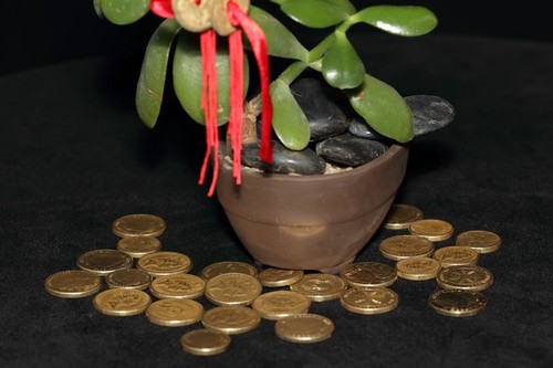 cvetlica, kovanci, roža