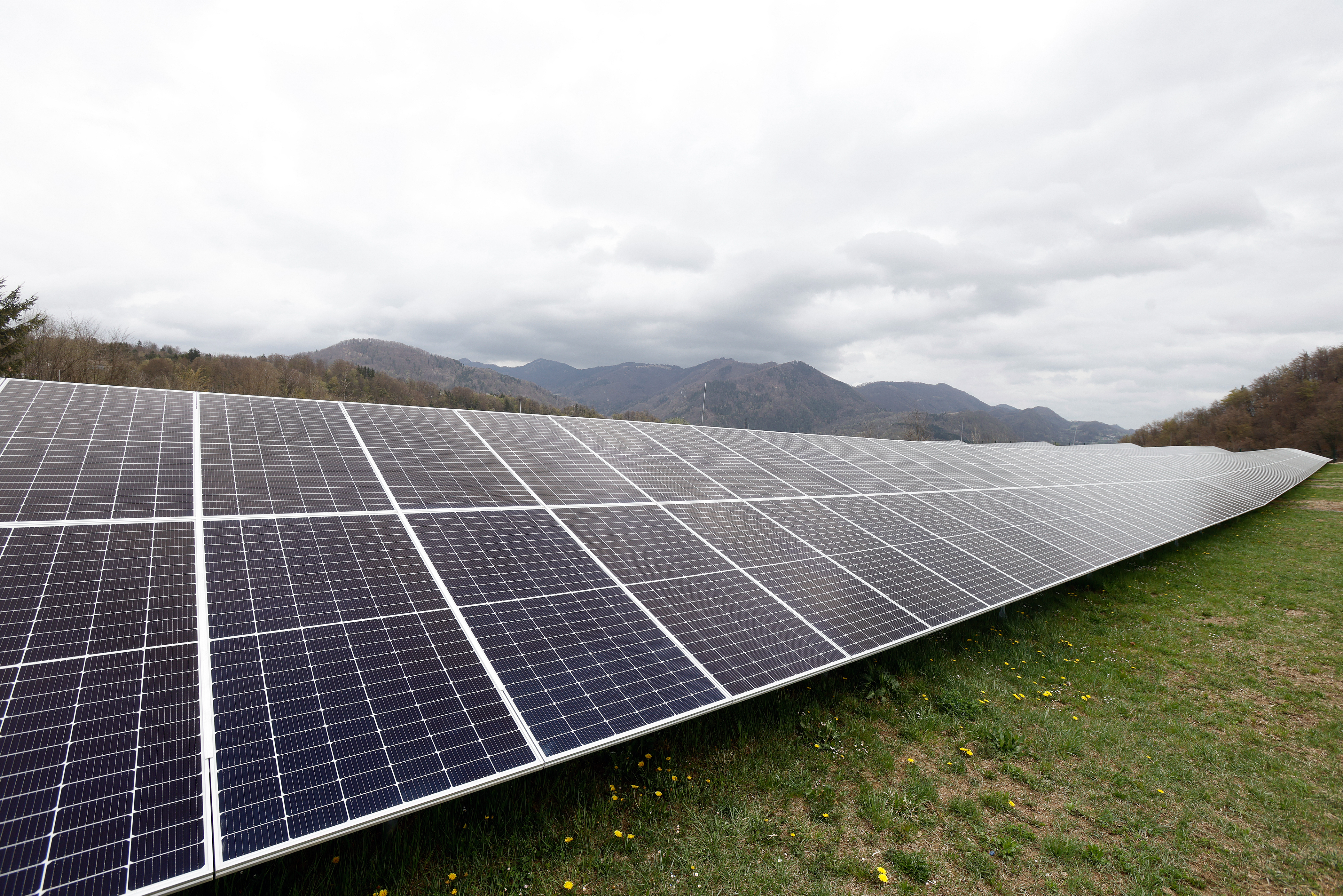 Otvoritev največje sončne elektrarne v Sloveniji,