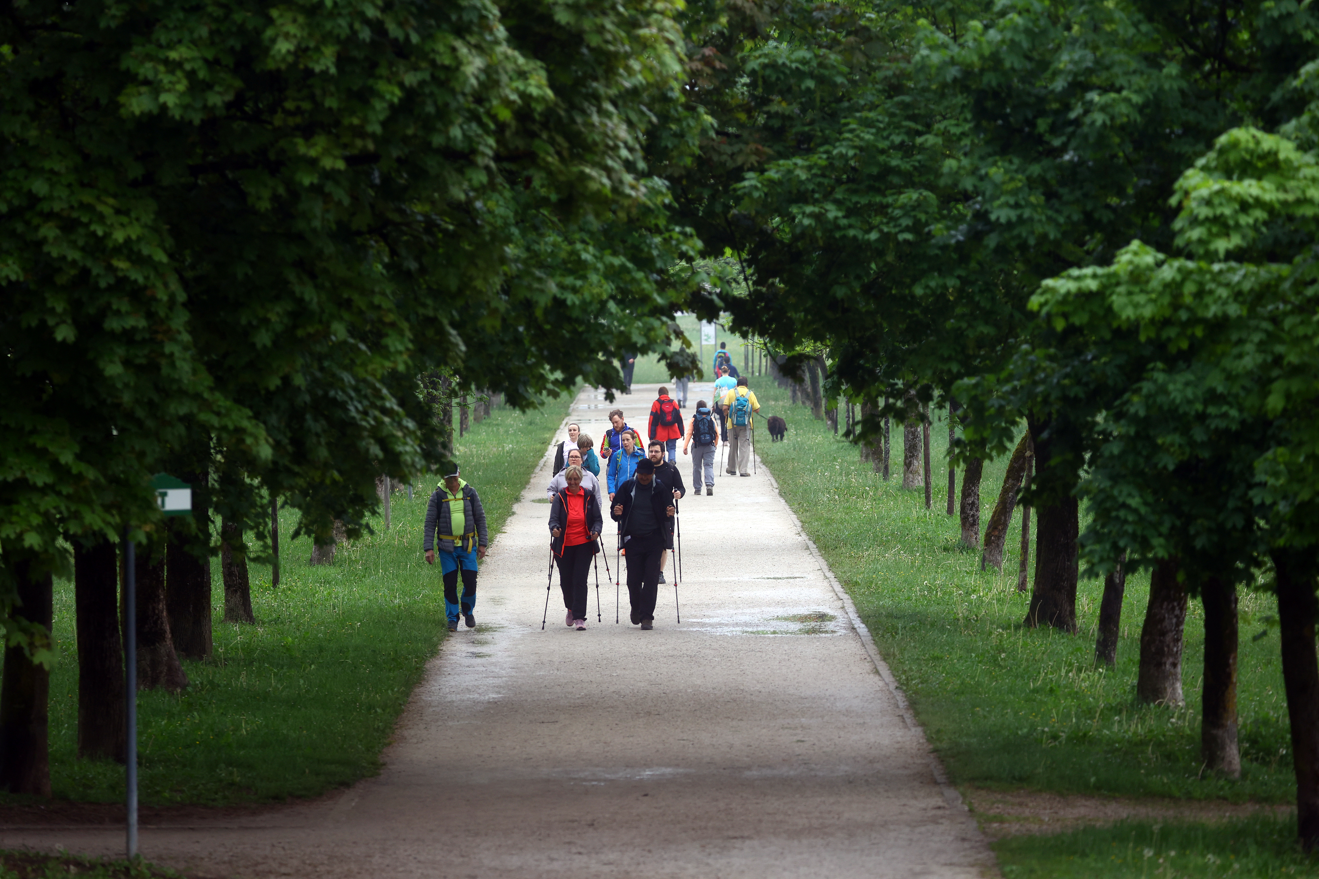 Borut Živulović/BOBO