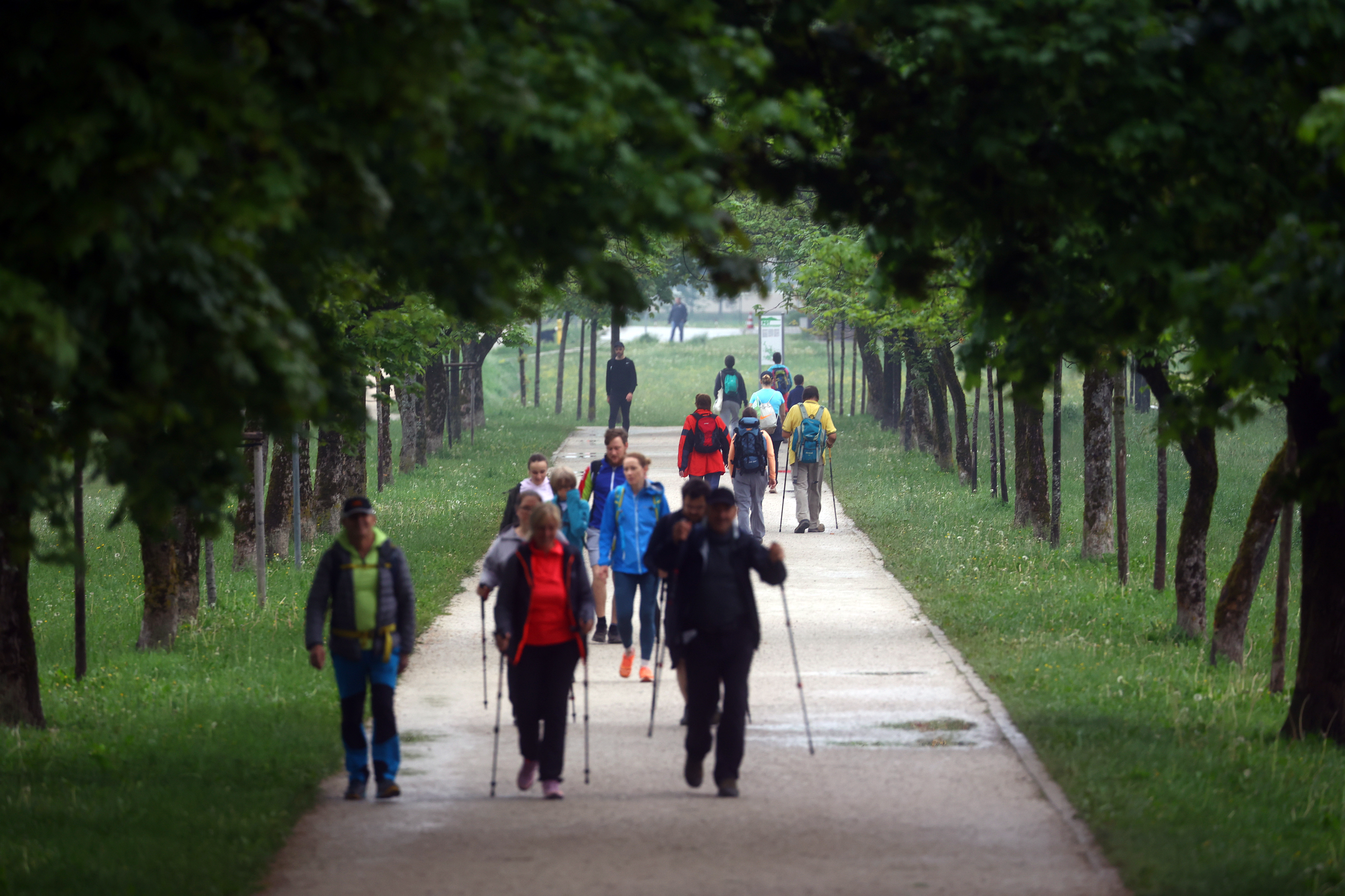 Borut Živulović/BOBO