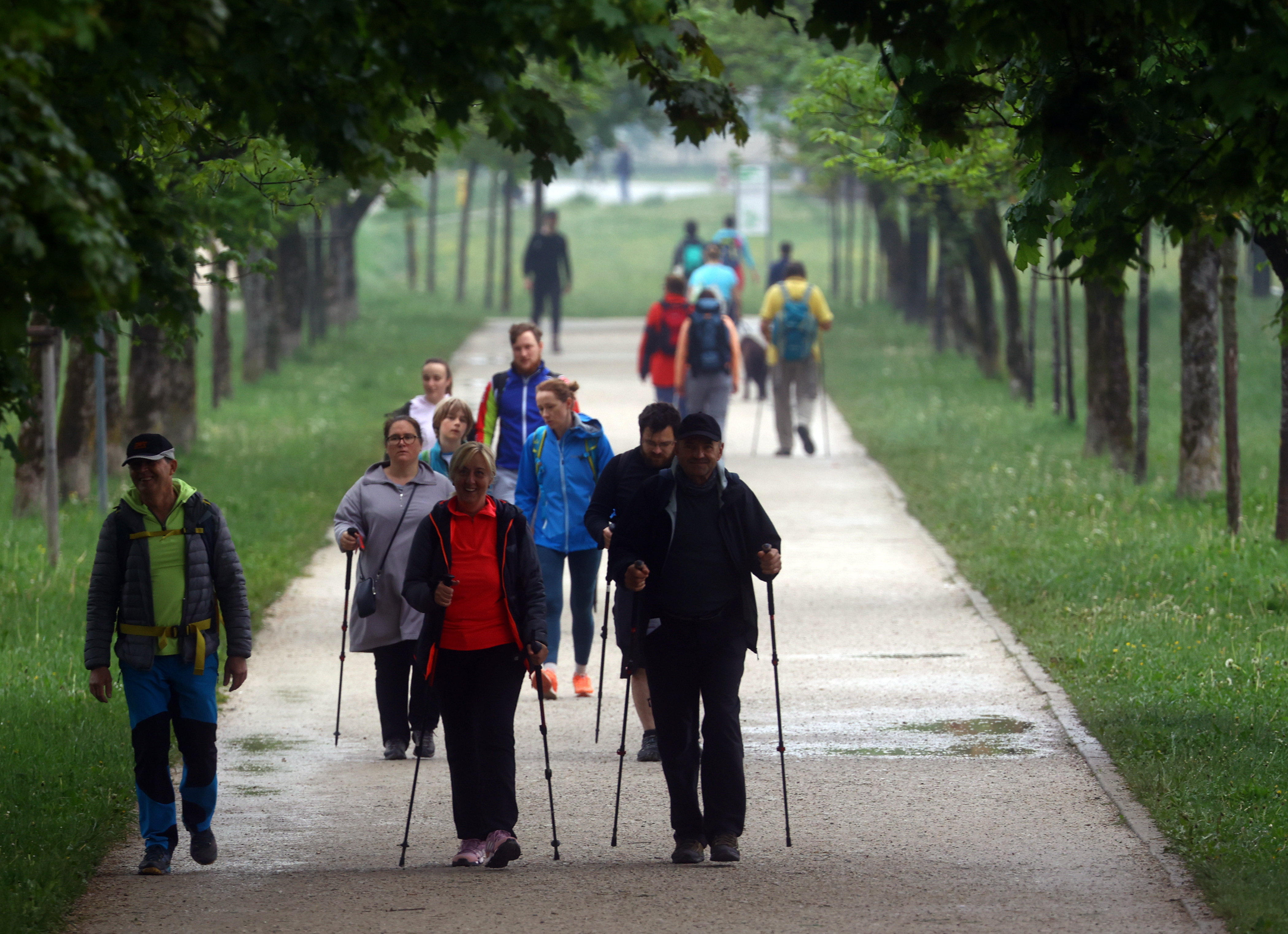 Borut Živulović/BOBO
