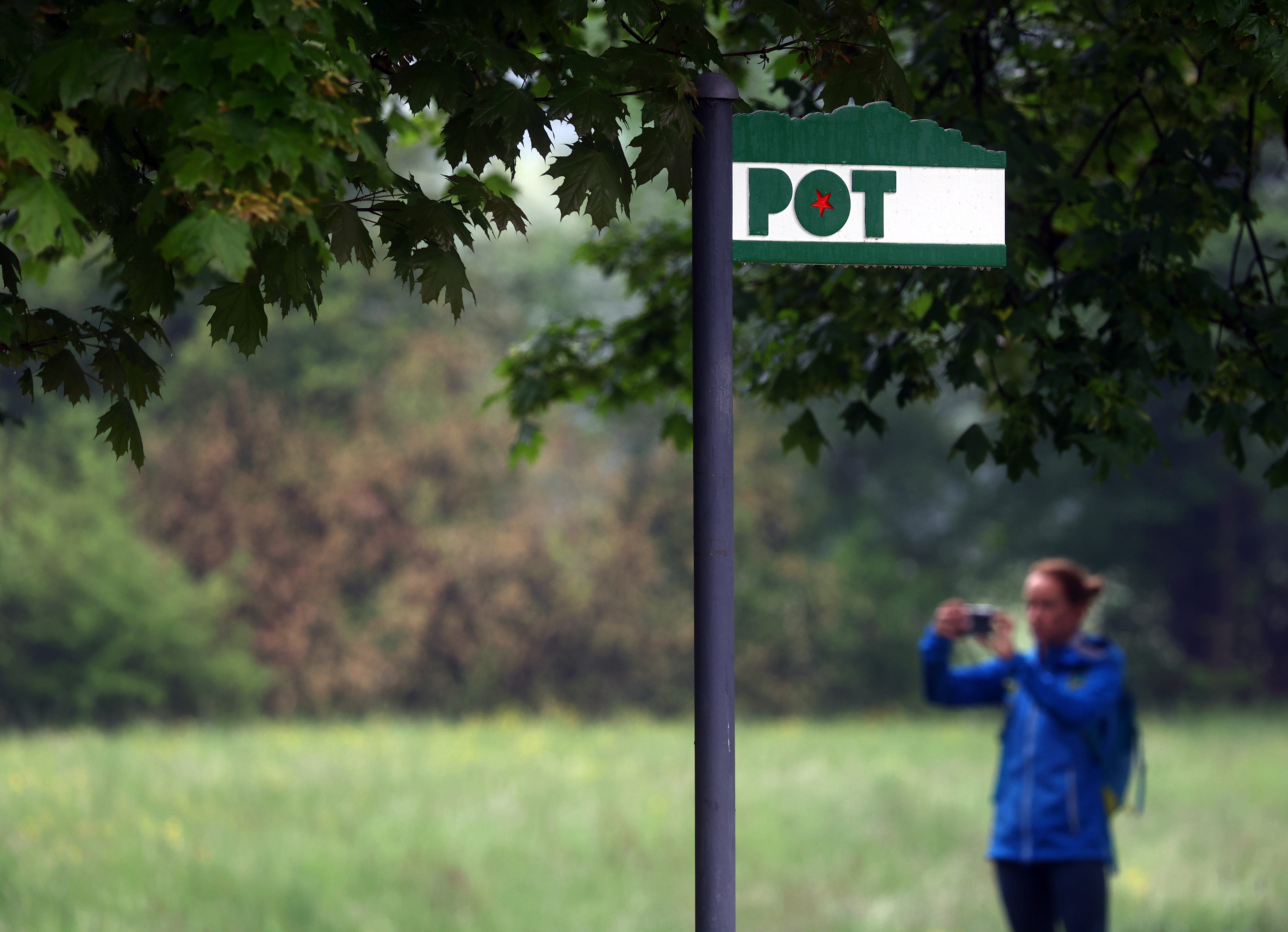 Borut Živulović/BOBO