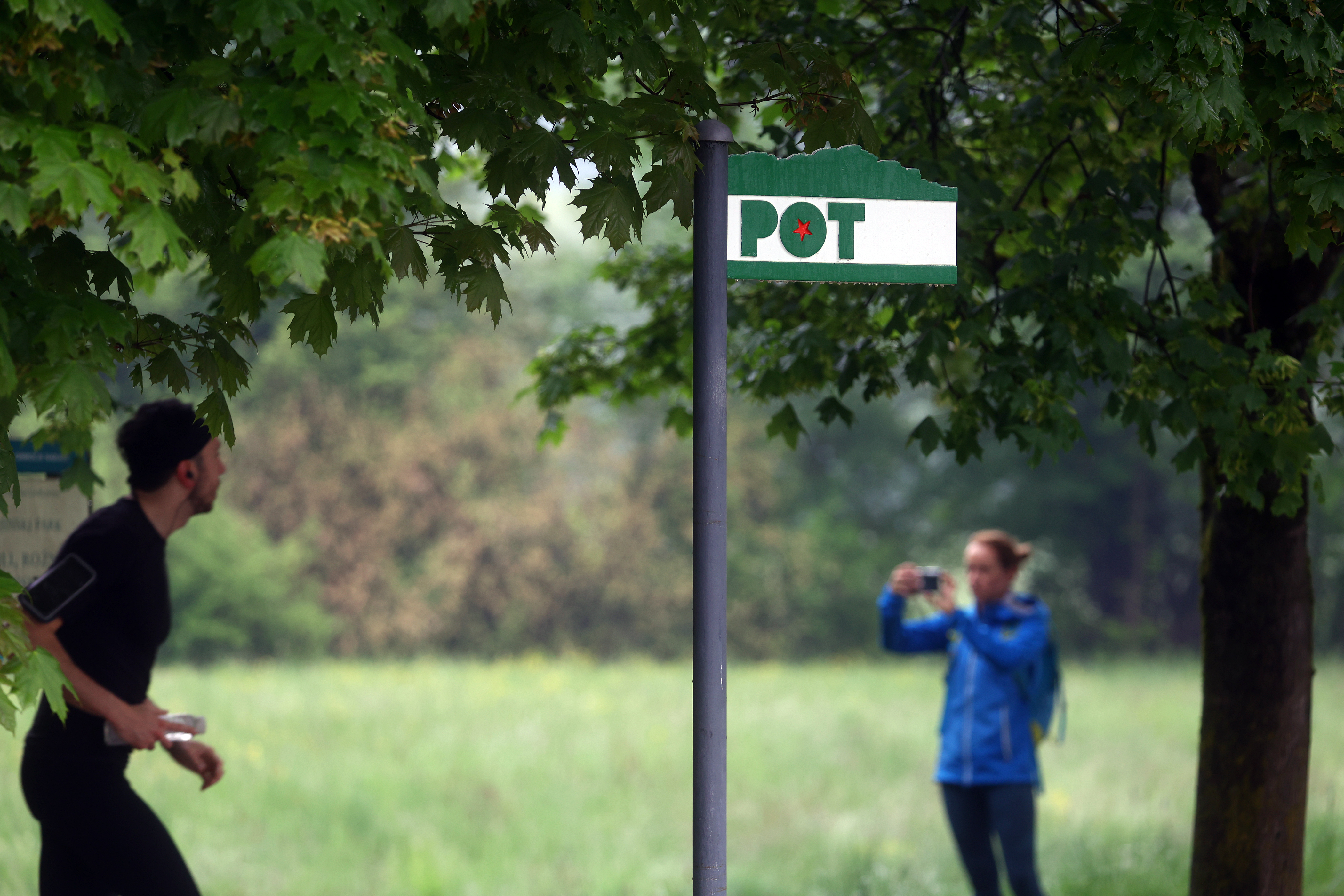 Borut Živulović/BOBO