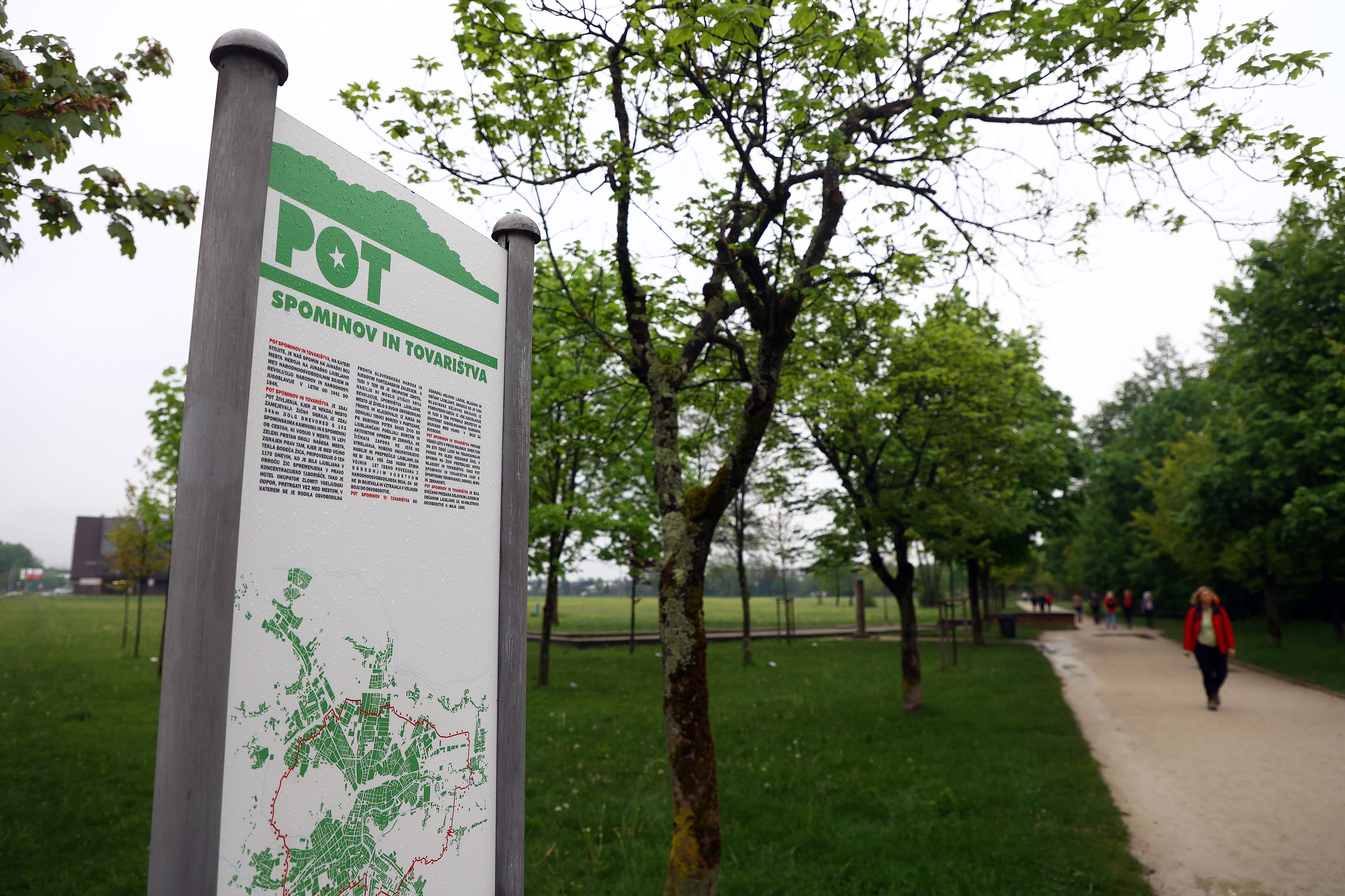 Borut Živulović/BOBO