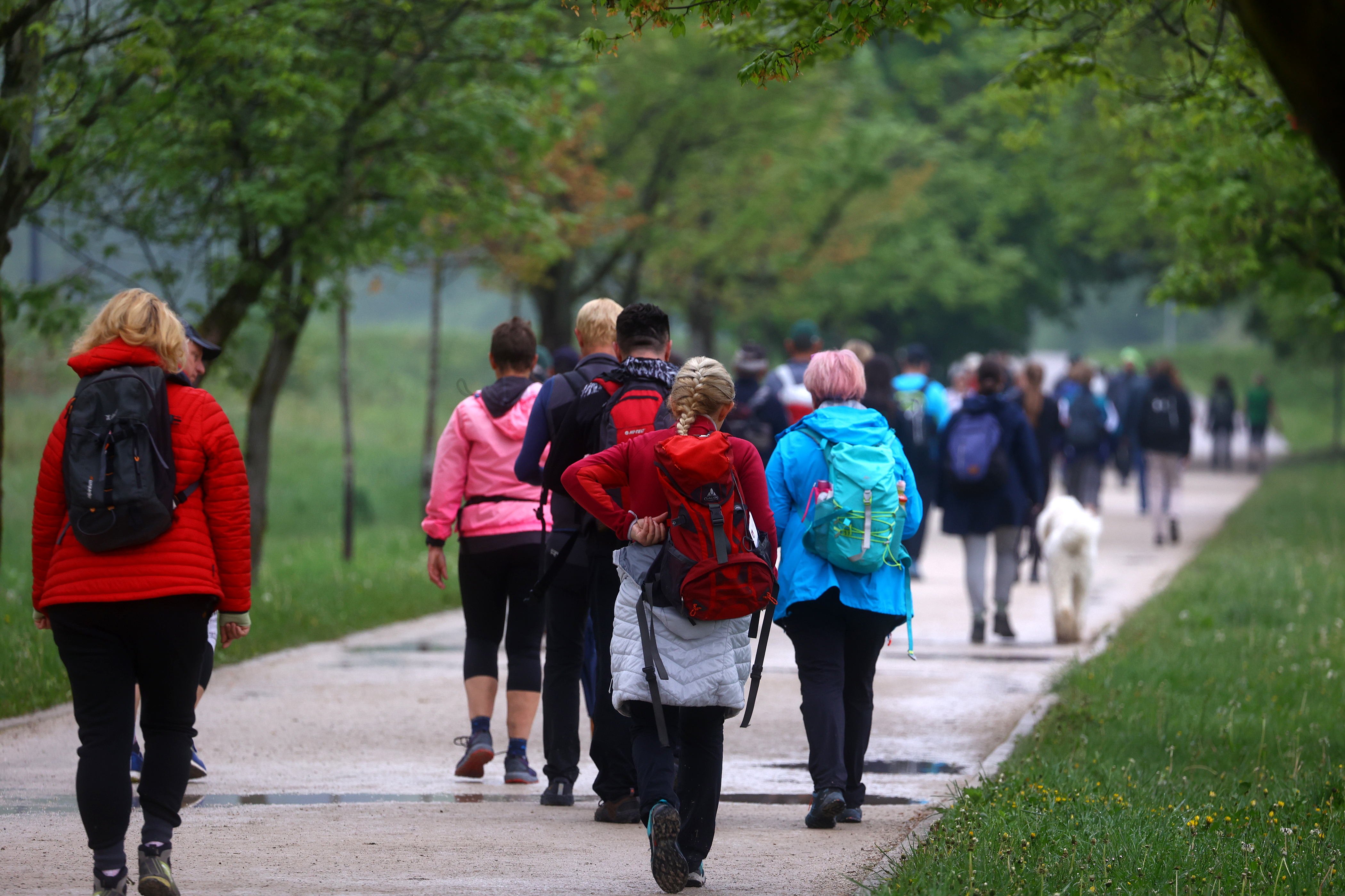 Borut Živulović/BOBO