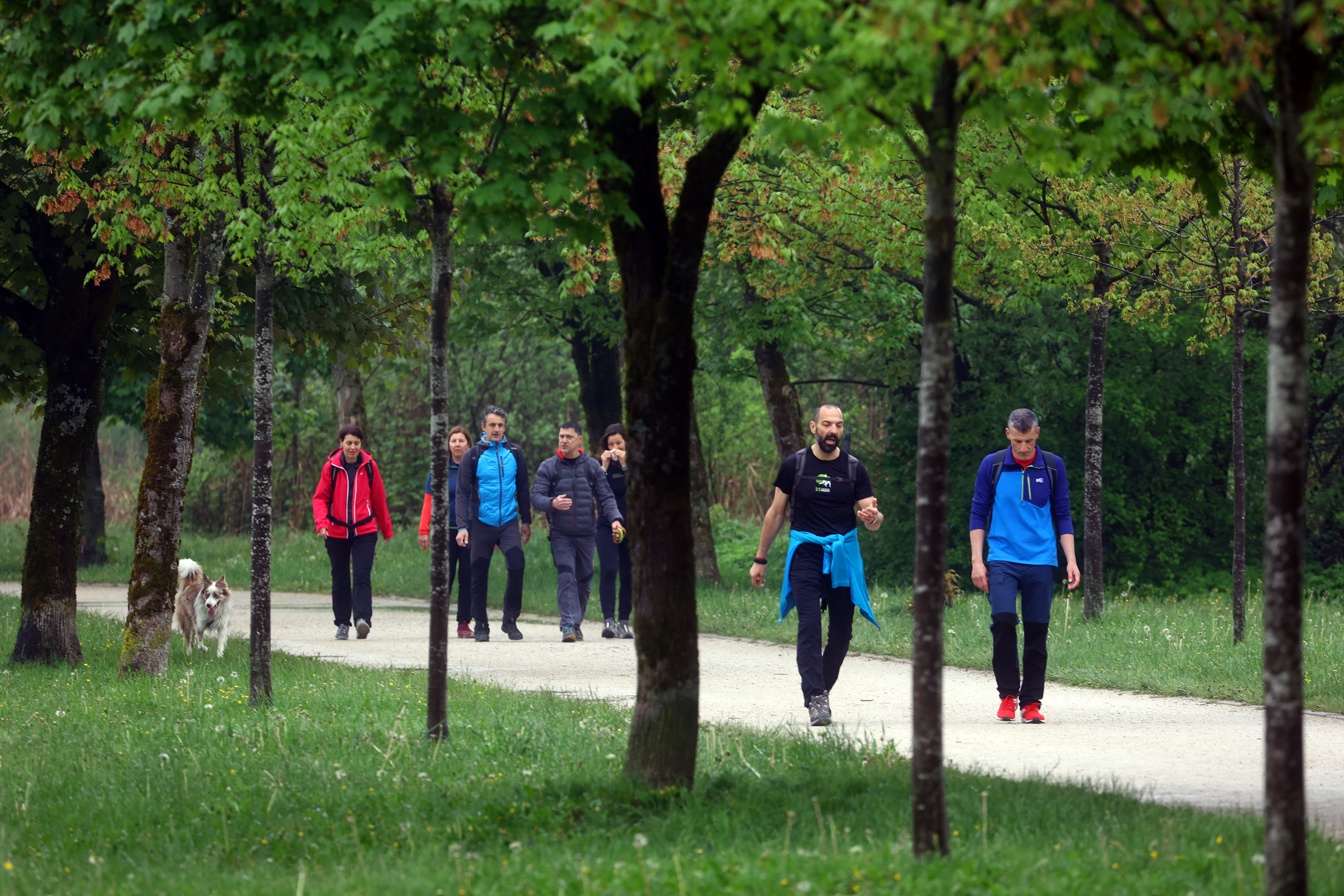 Borut Živulović/BOBO