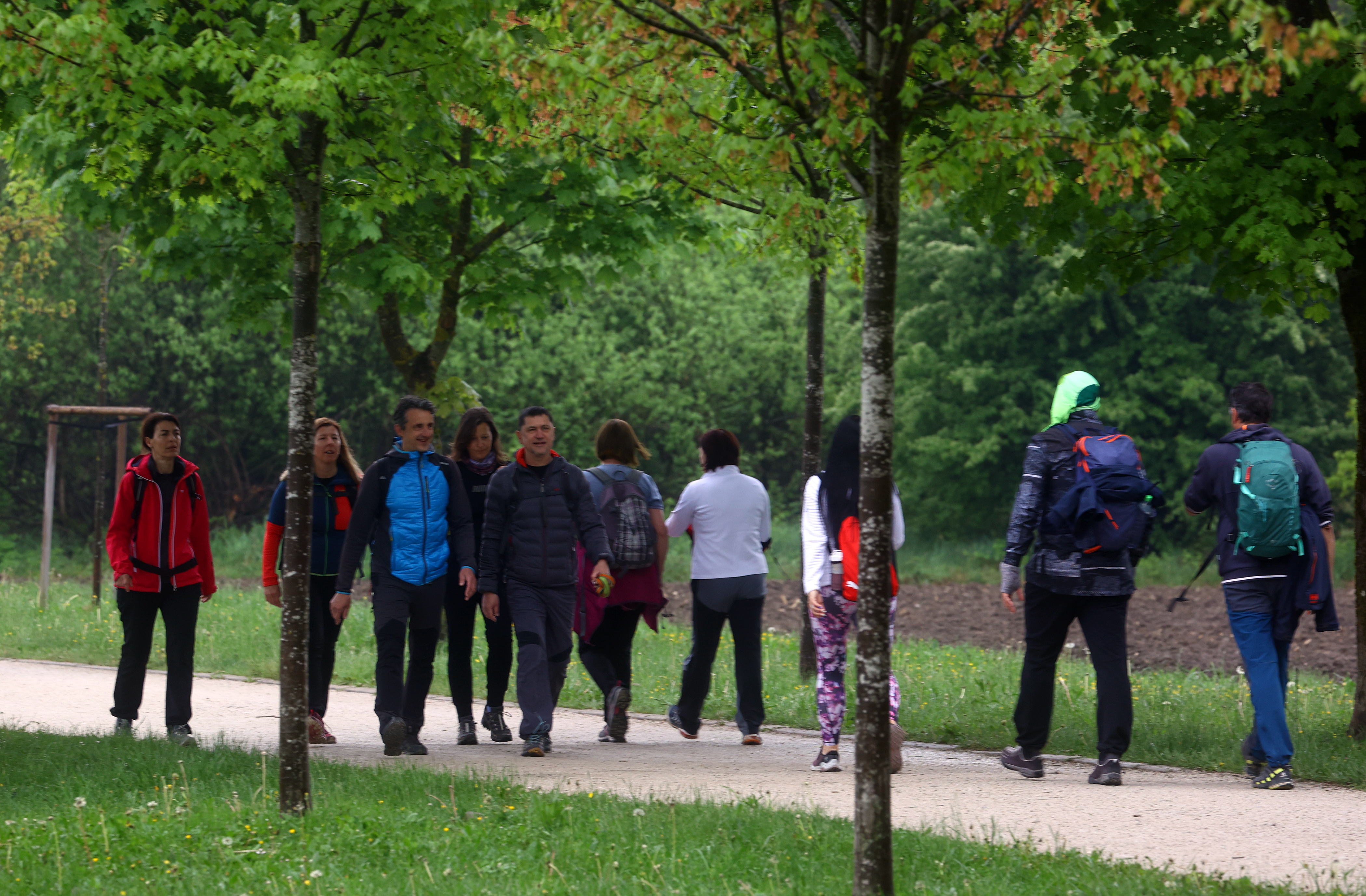 Borut Živulović/BOBO