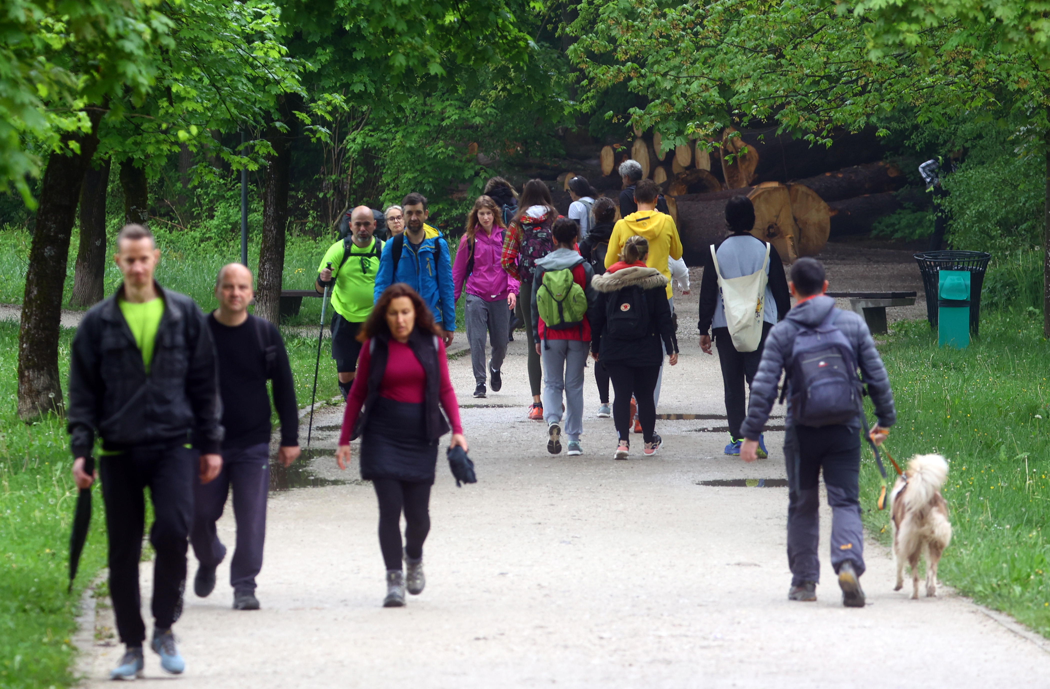 Borut Živulović/BOBO