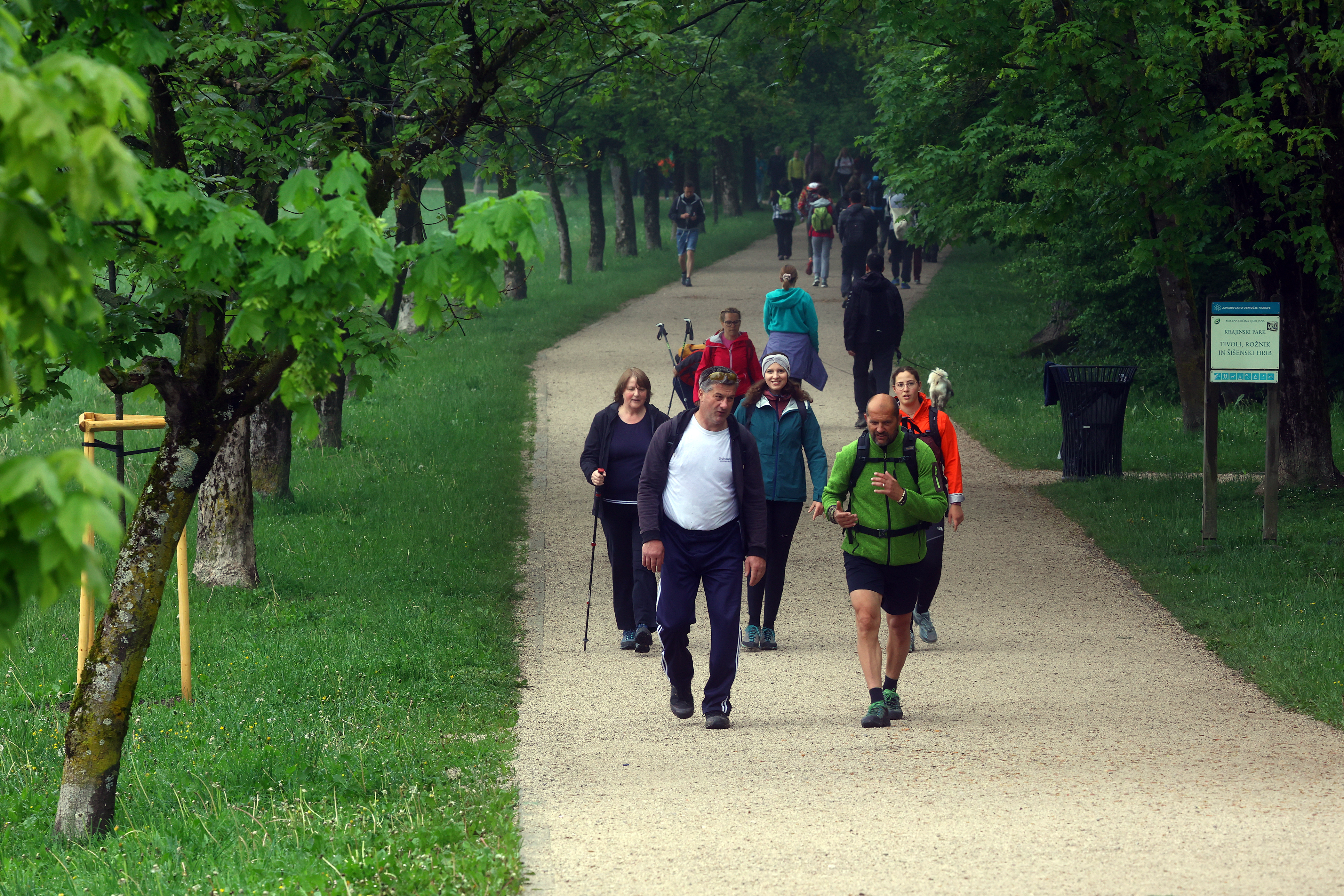 Borut Živulović/BOBO