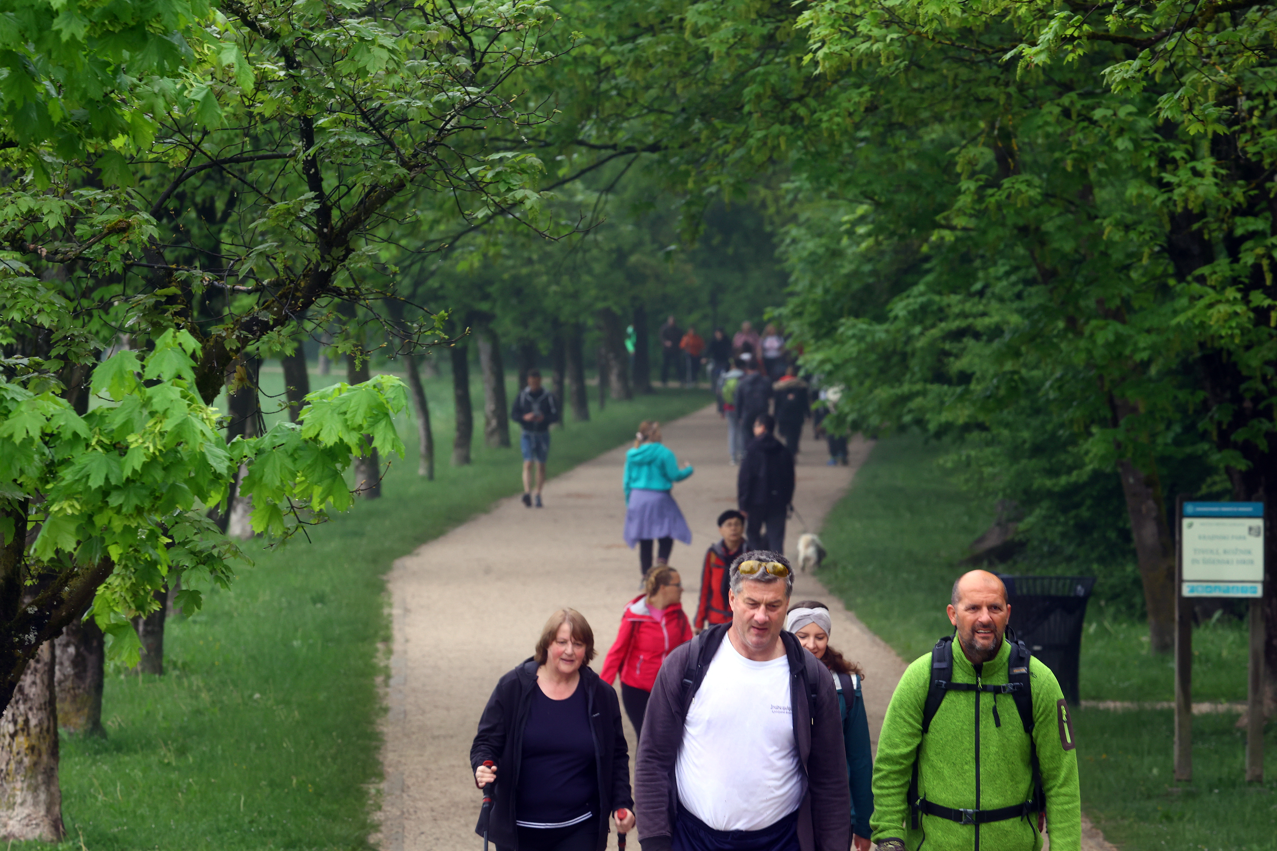 Borut Živulović/BOBO