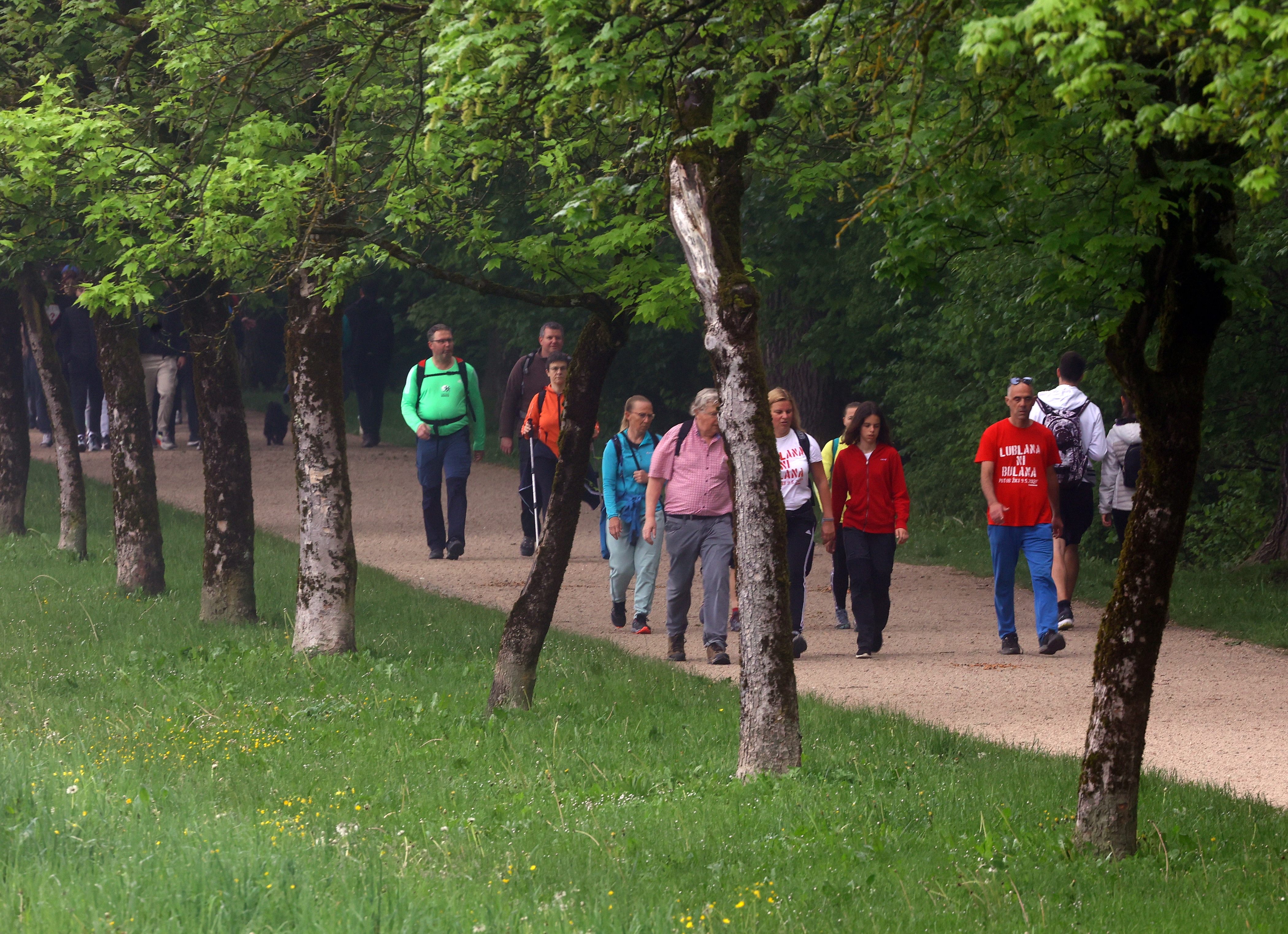 Borut Živulović/BOBO