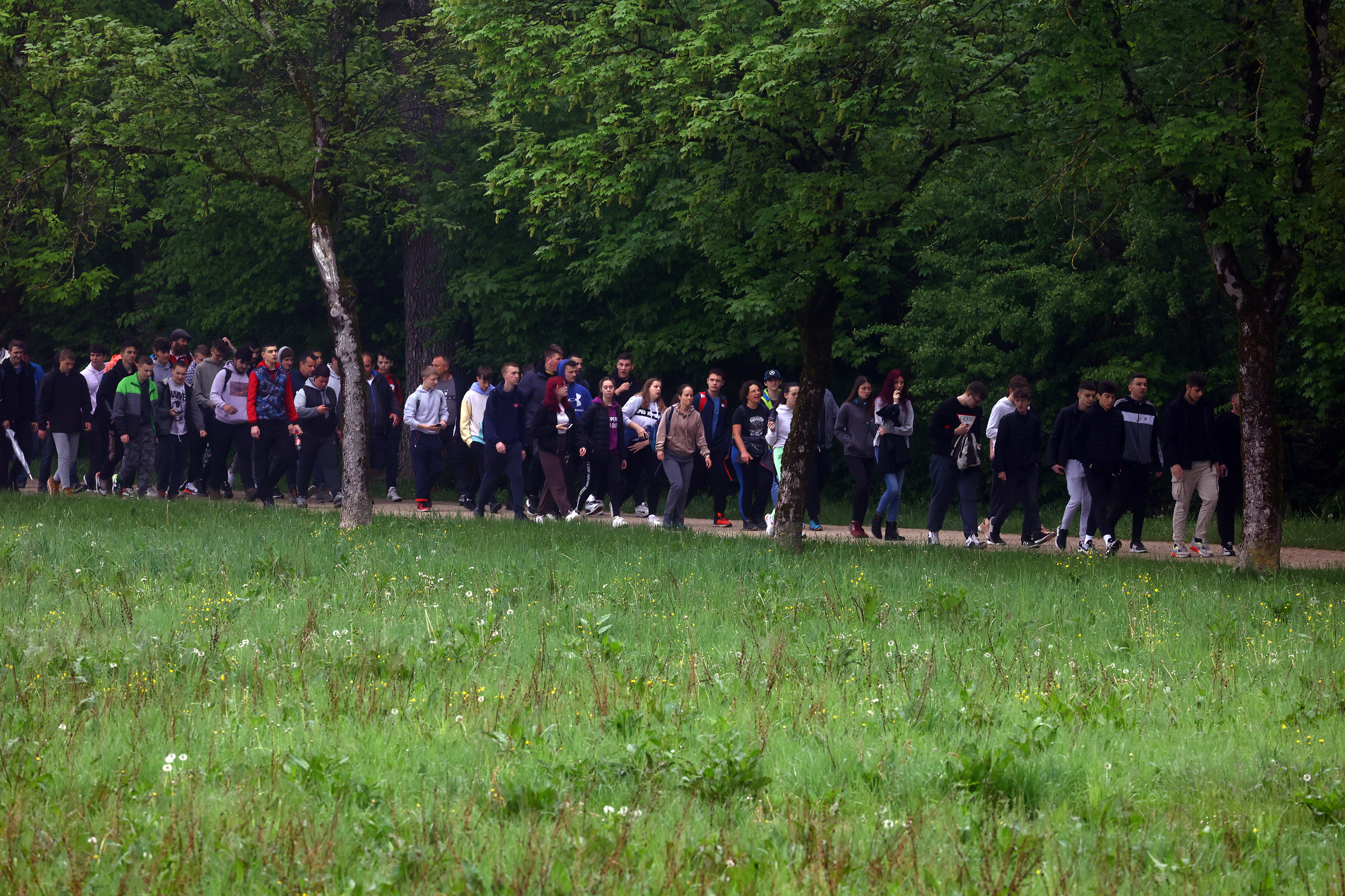 Borut Živulović/BOBO