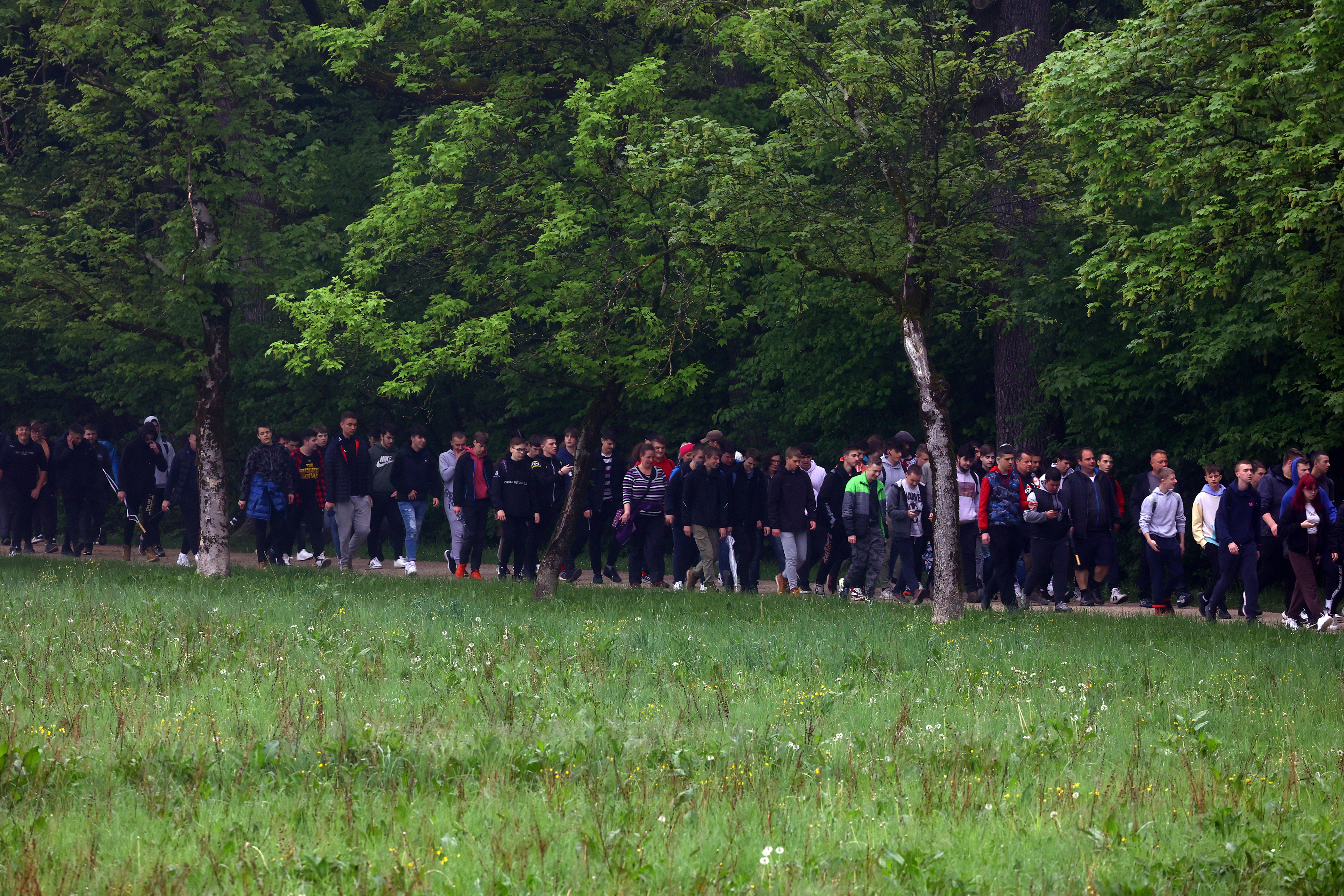 Borut Živulović/BOBO