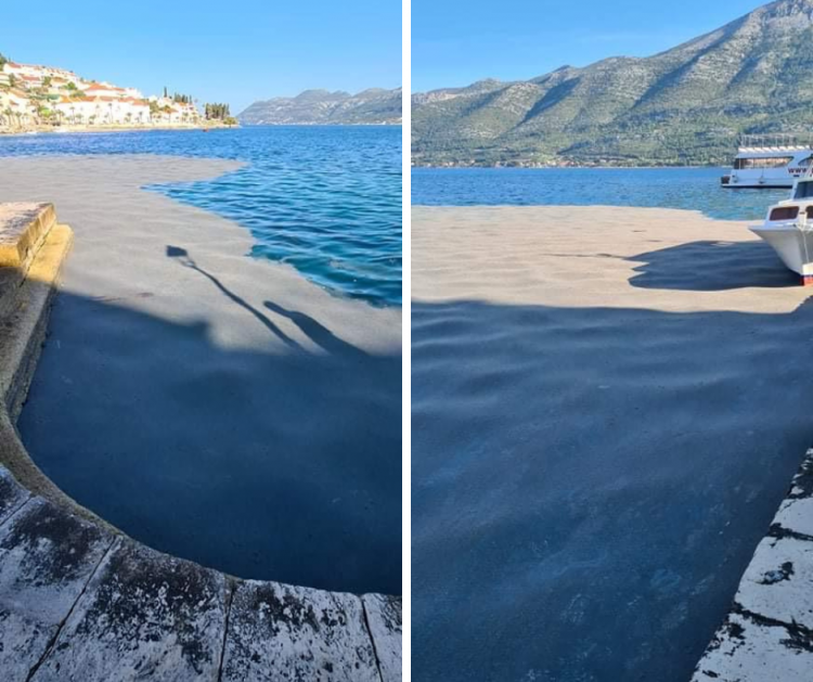 mušice, uši, dalmacija, morje