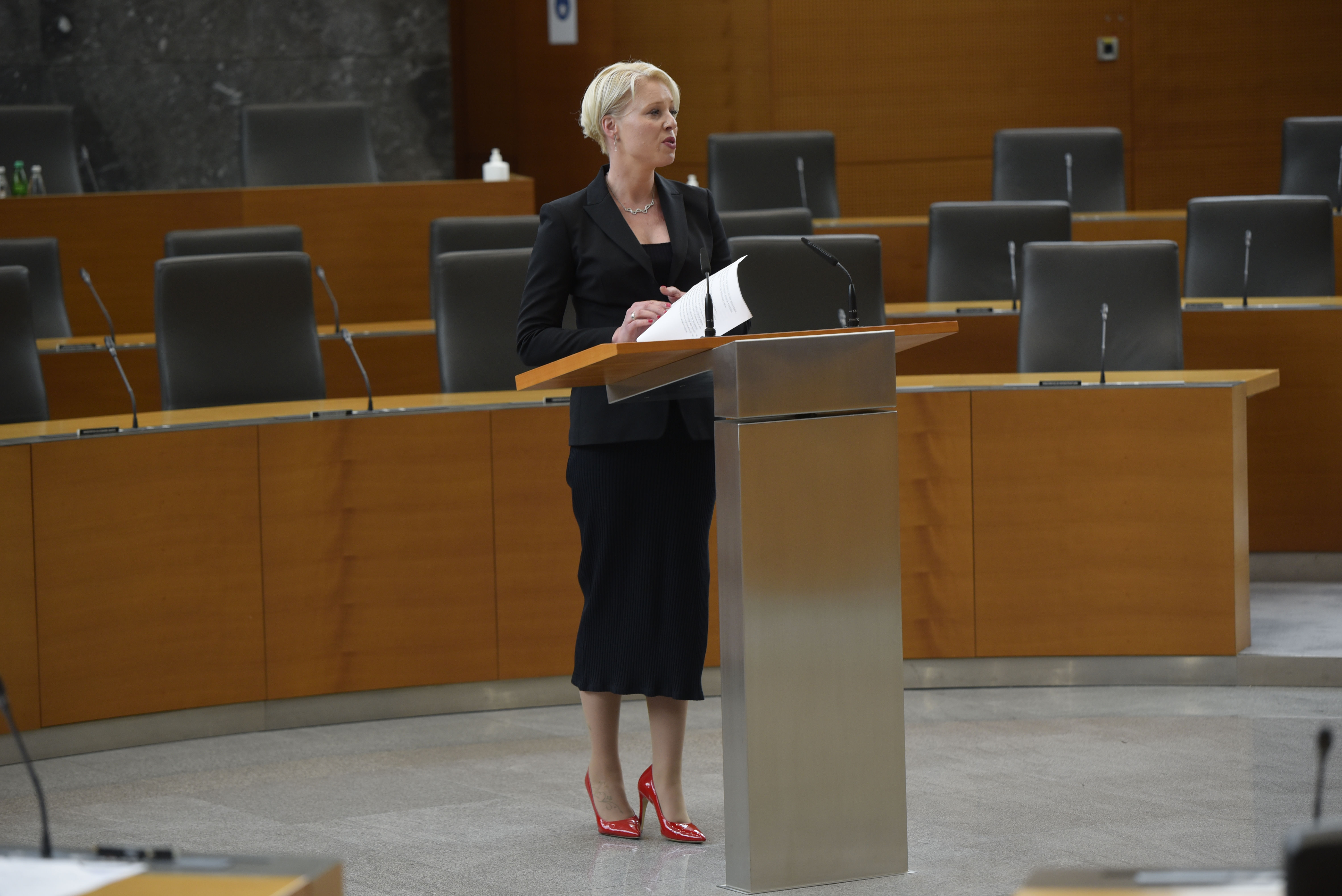 Prva seja DZ, klakočar zupančič