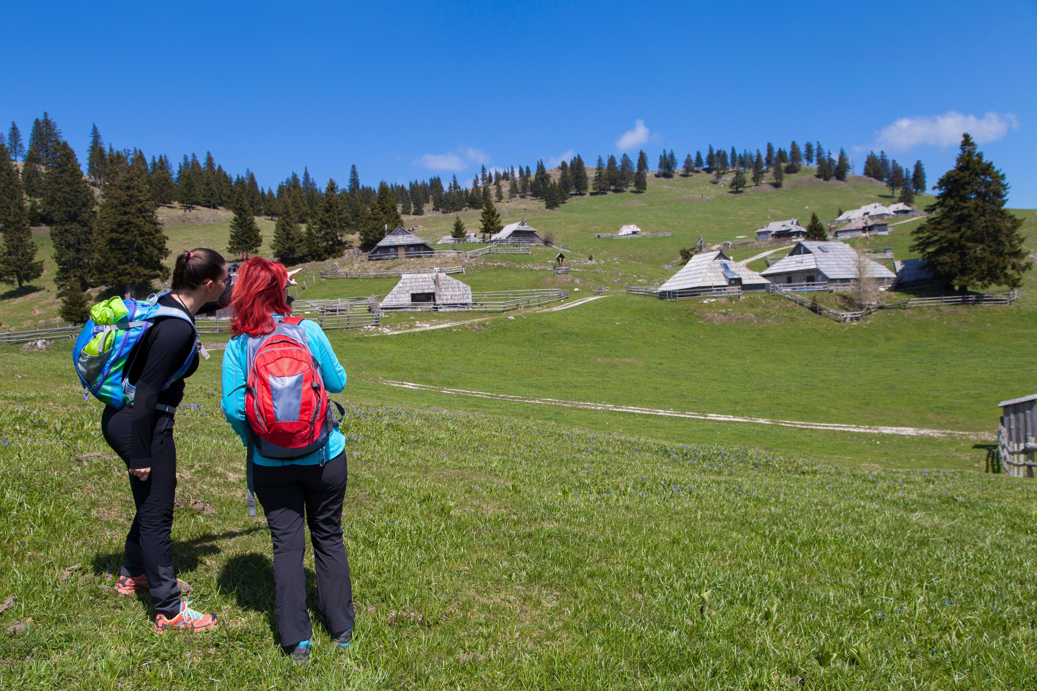 knjige, gore, Zajamniki