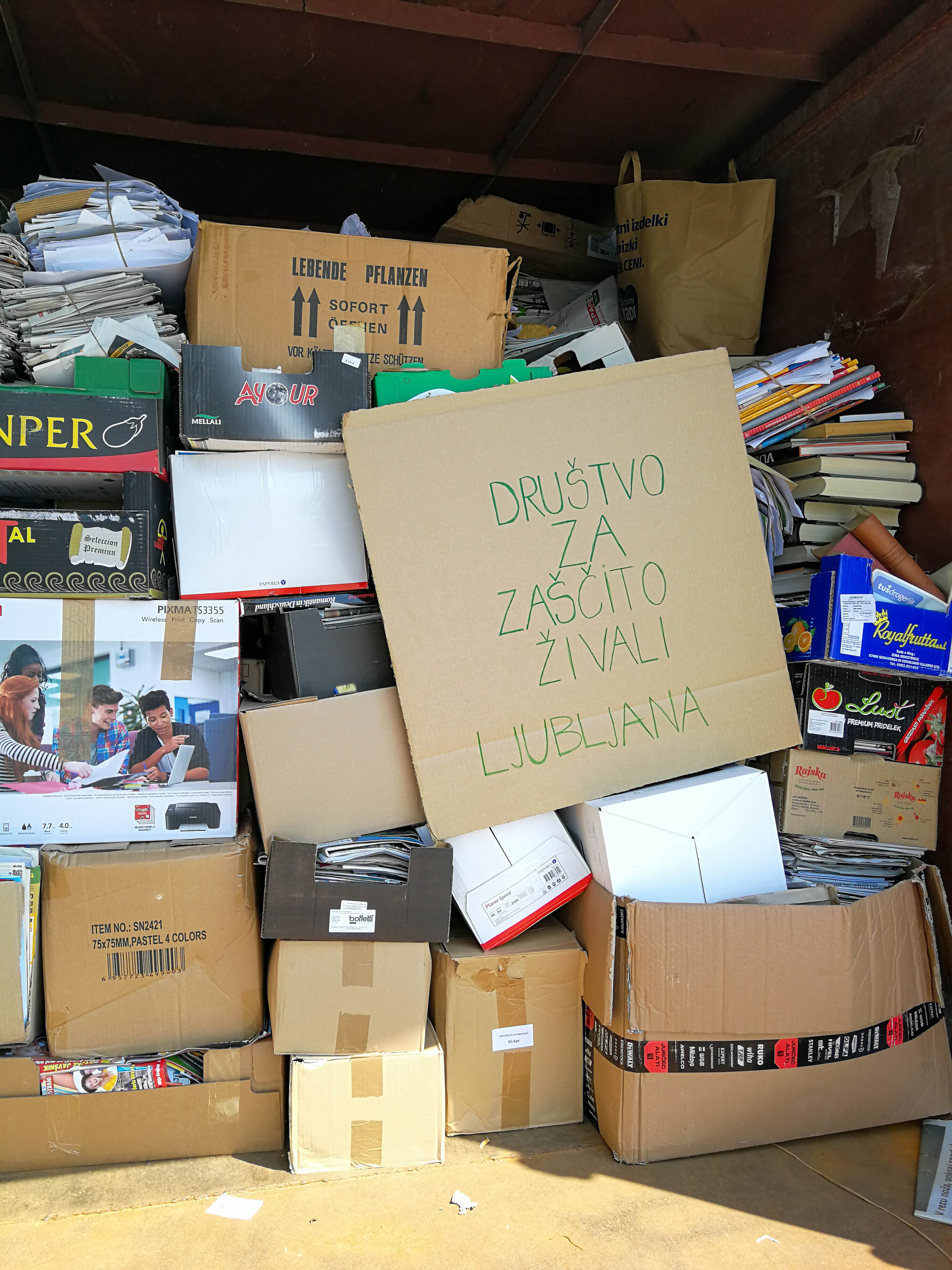 Foto: Društvo za zaščito živali