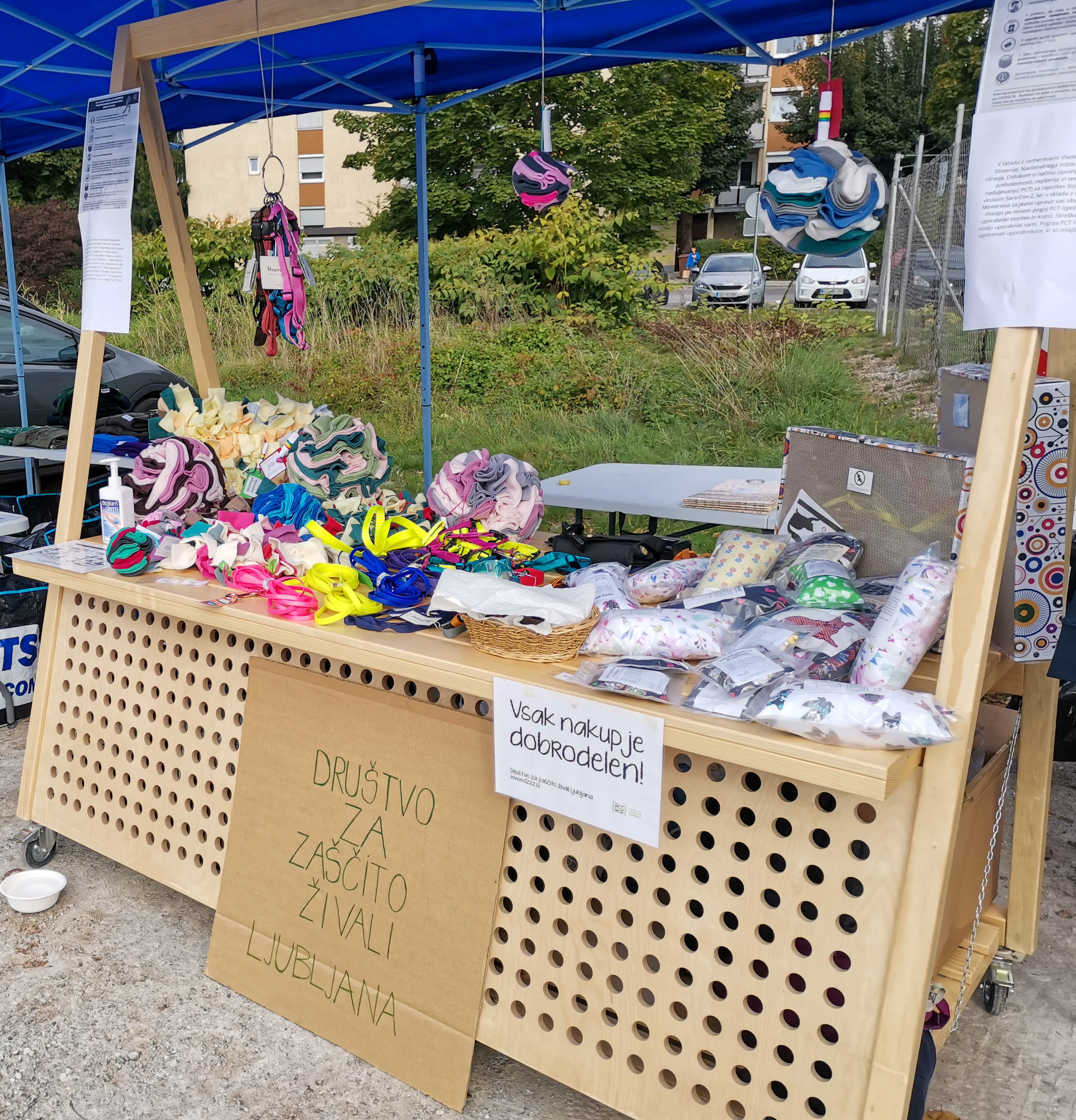 Društvo za zaščito živali