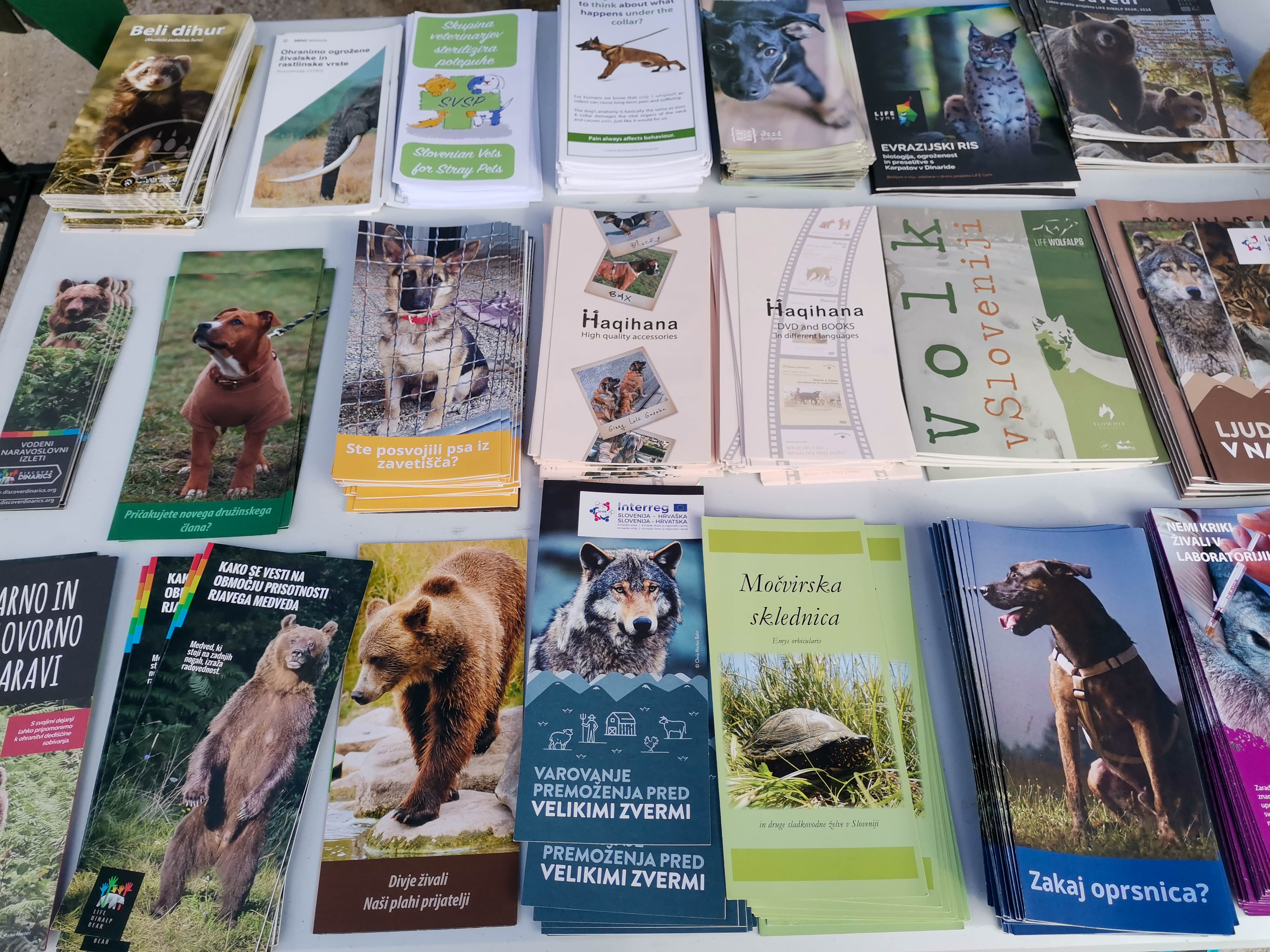 Društvo za zaščito živali