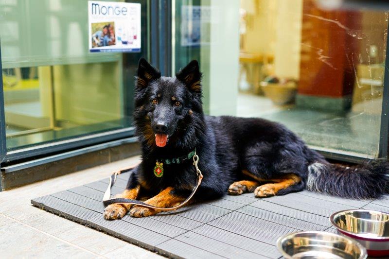 Skupnost muzejev Slovenije