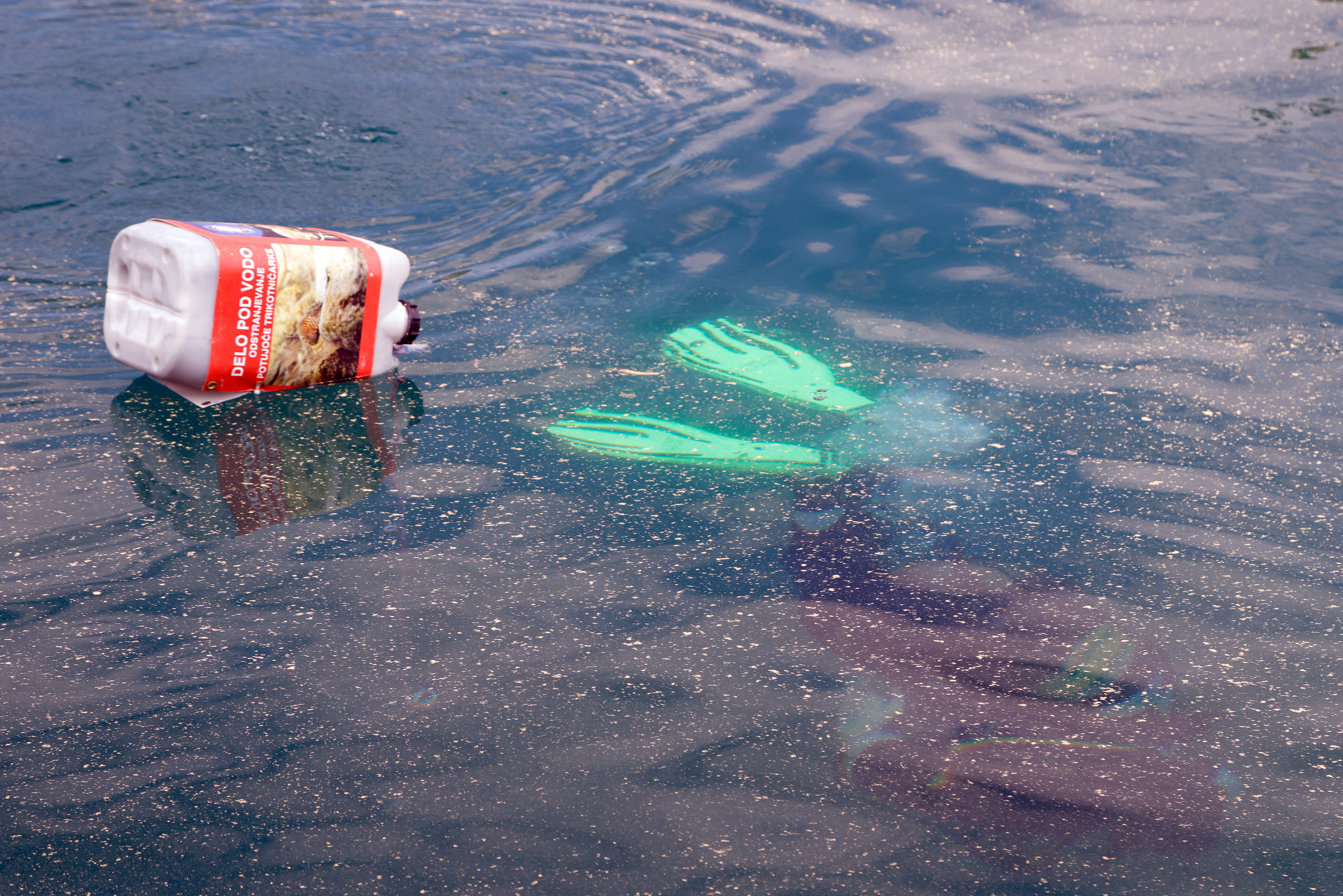 Čistilna akcija Bled