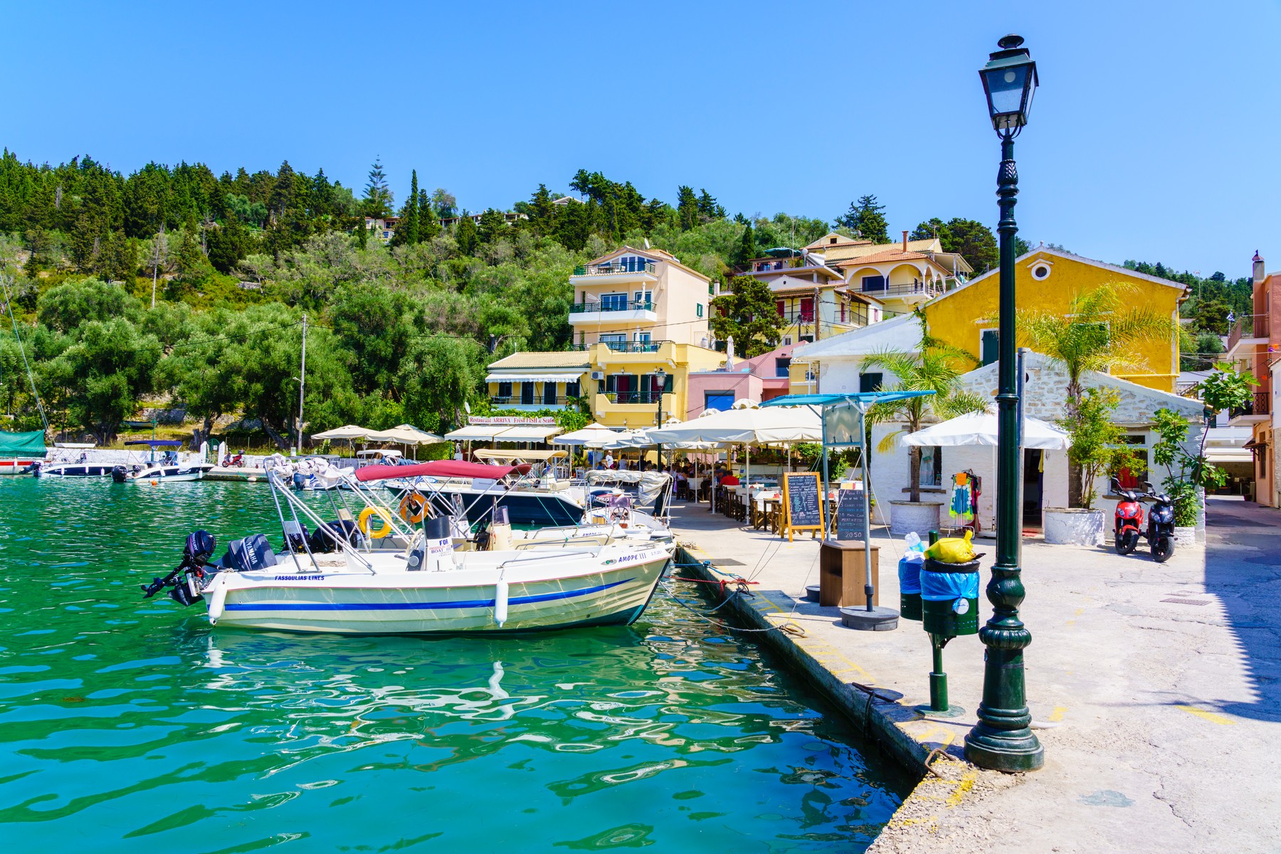 Paxos
