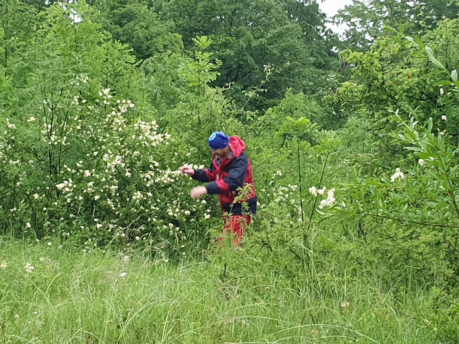 Hrvaška gorska reševalna služba (HGSS)