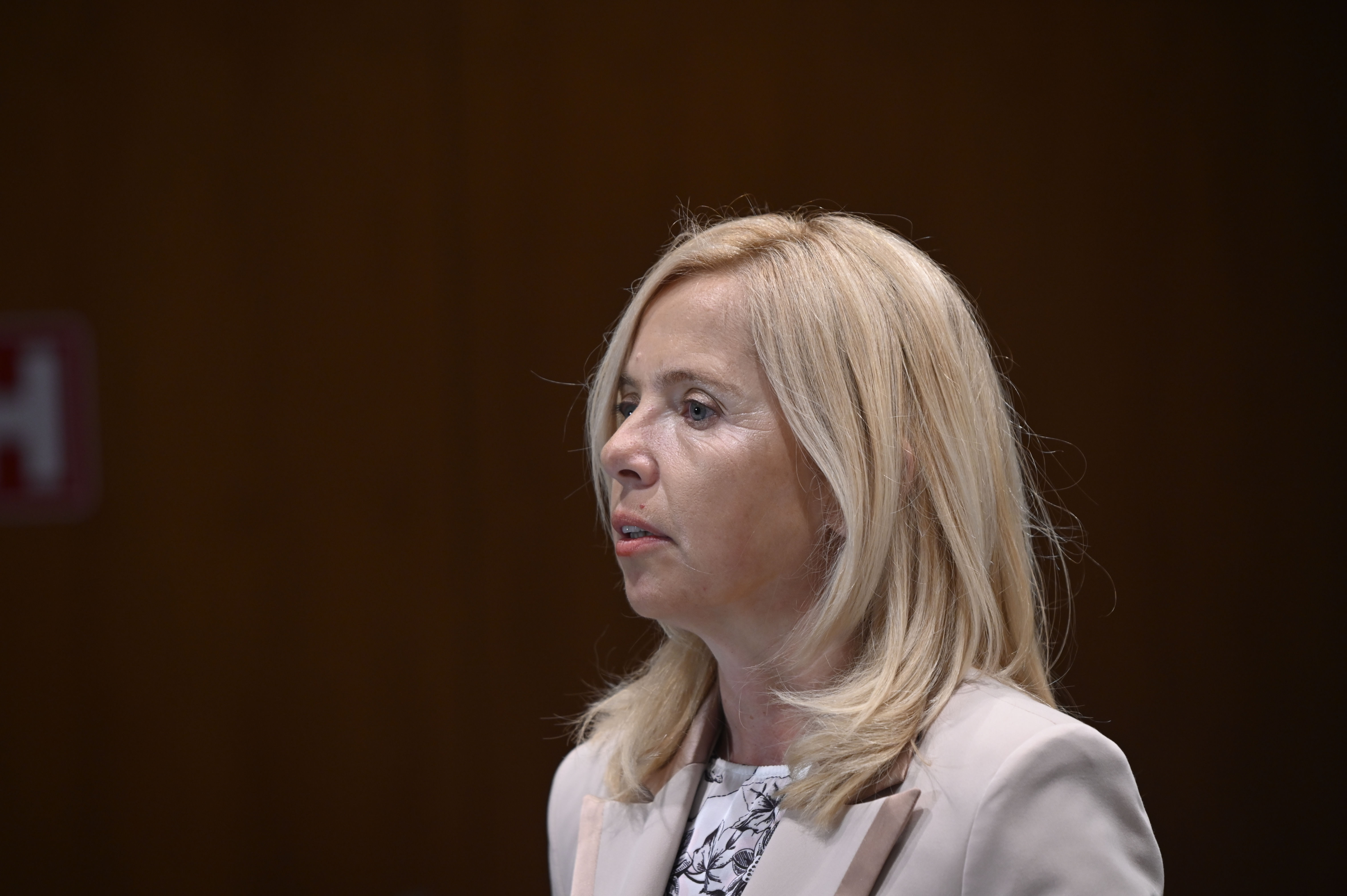 Tatjana Bobnar zaslišanje odbor