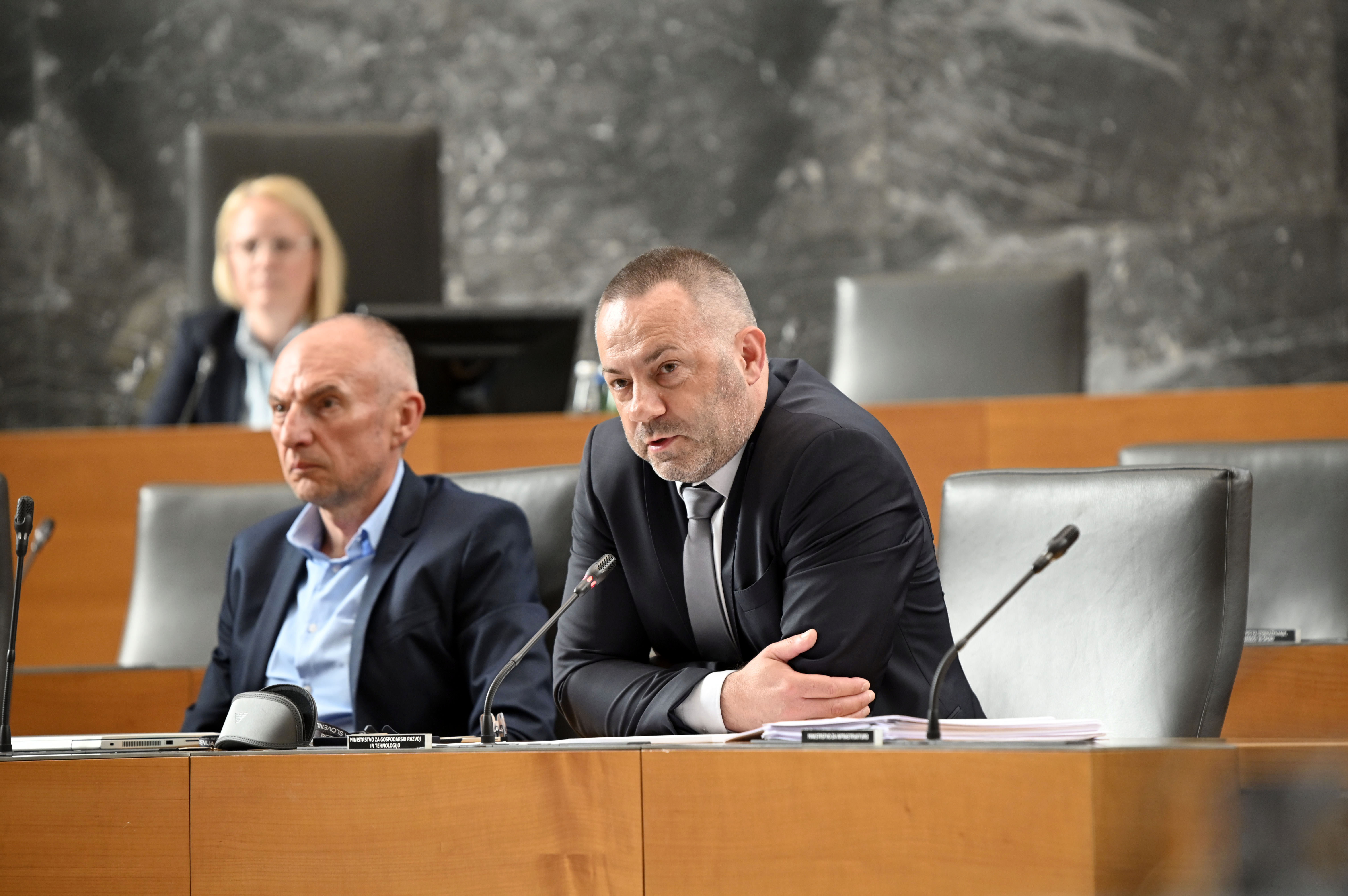 Danijel Bešič Loredan