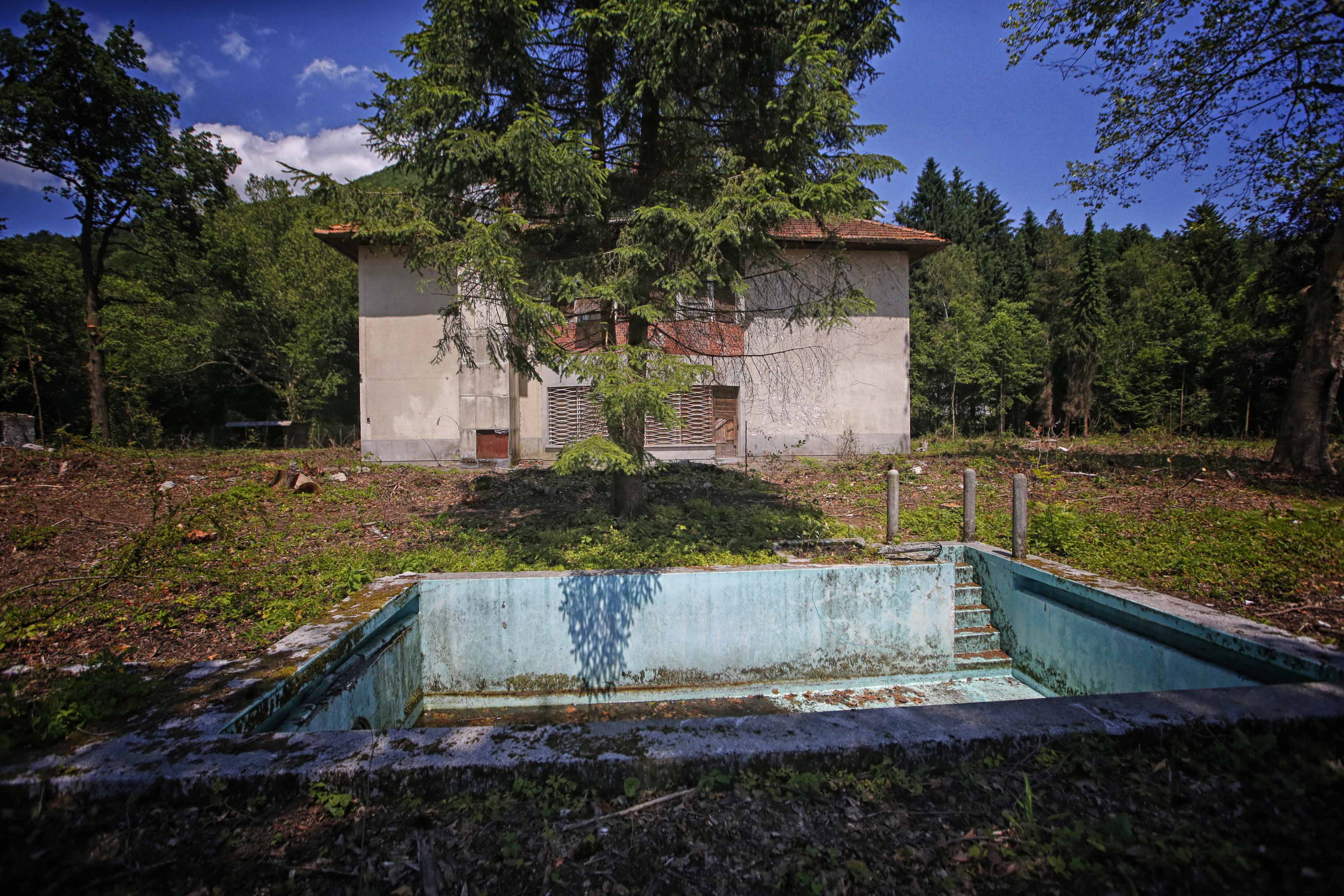 Borut Živulović/BOBO