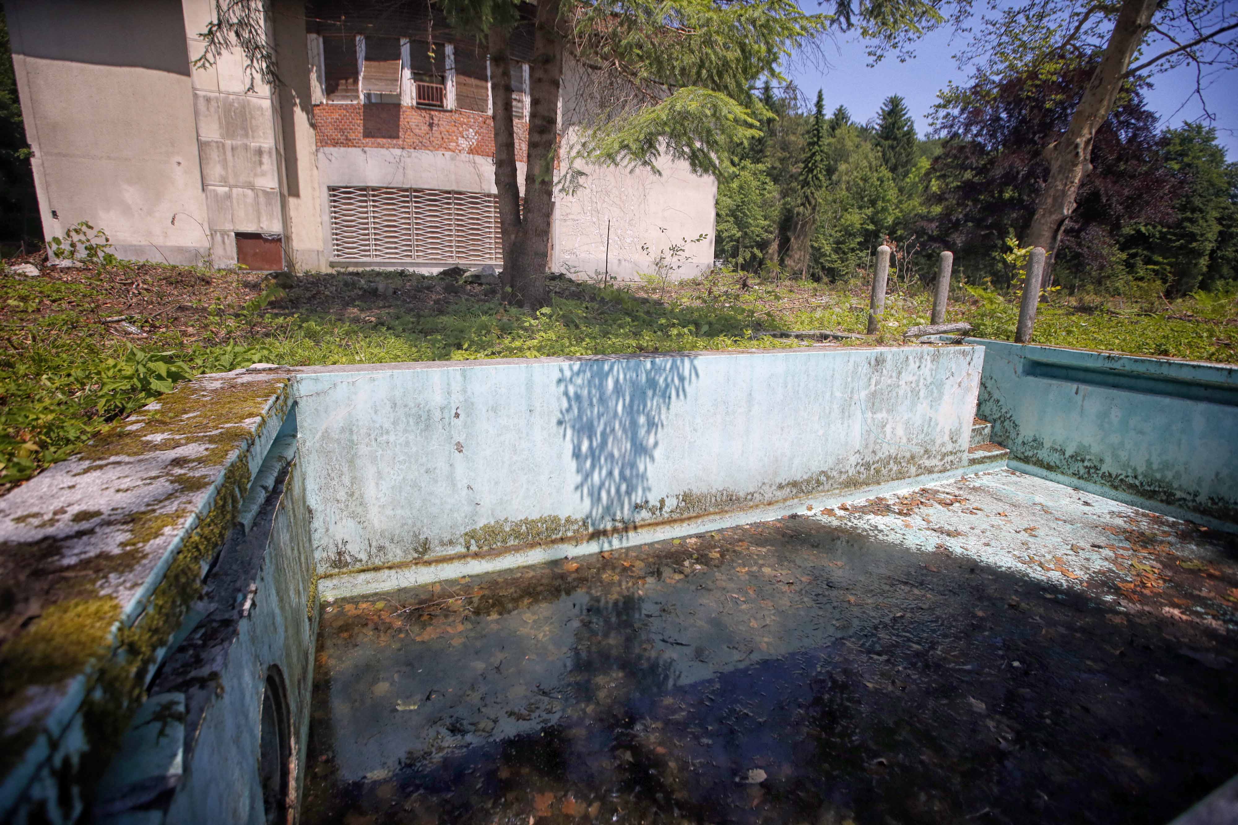 Borut Živulović/BOBO