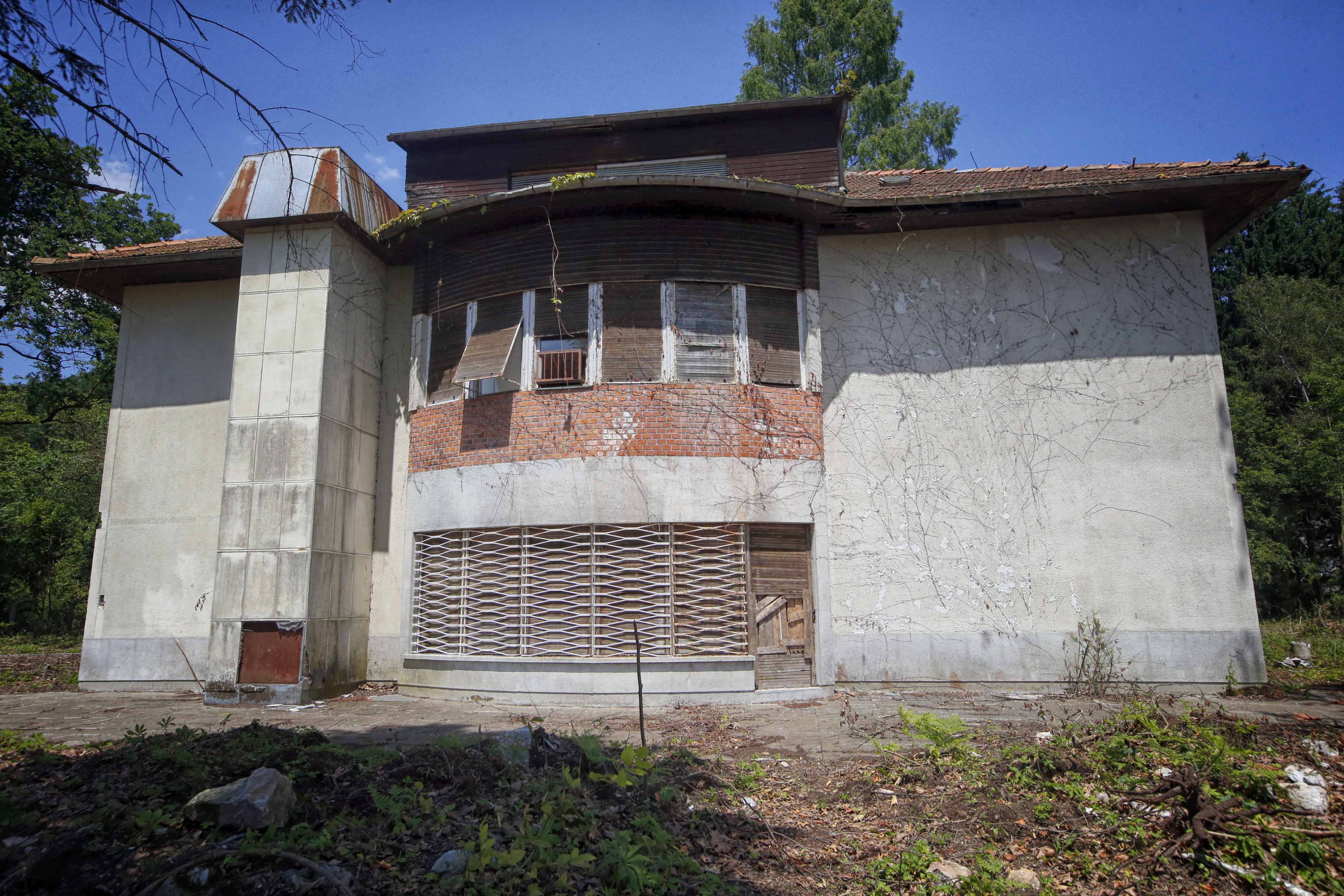 Borut Živulović/BOBO