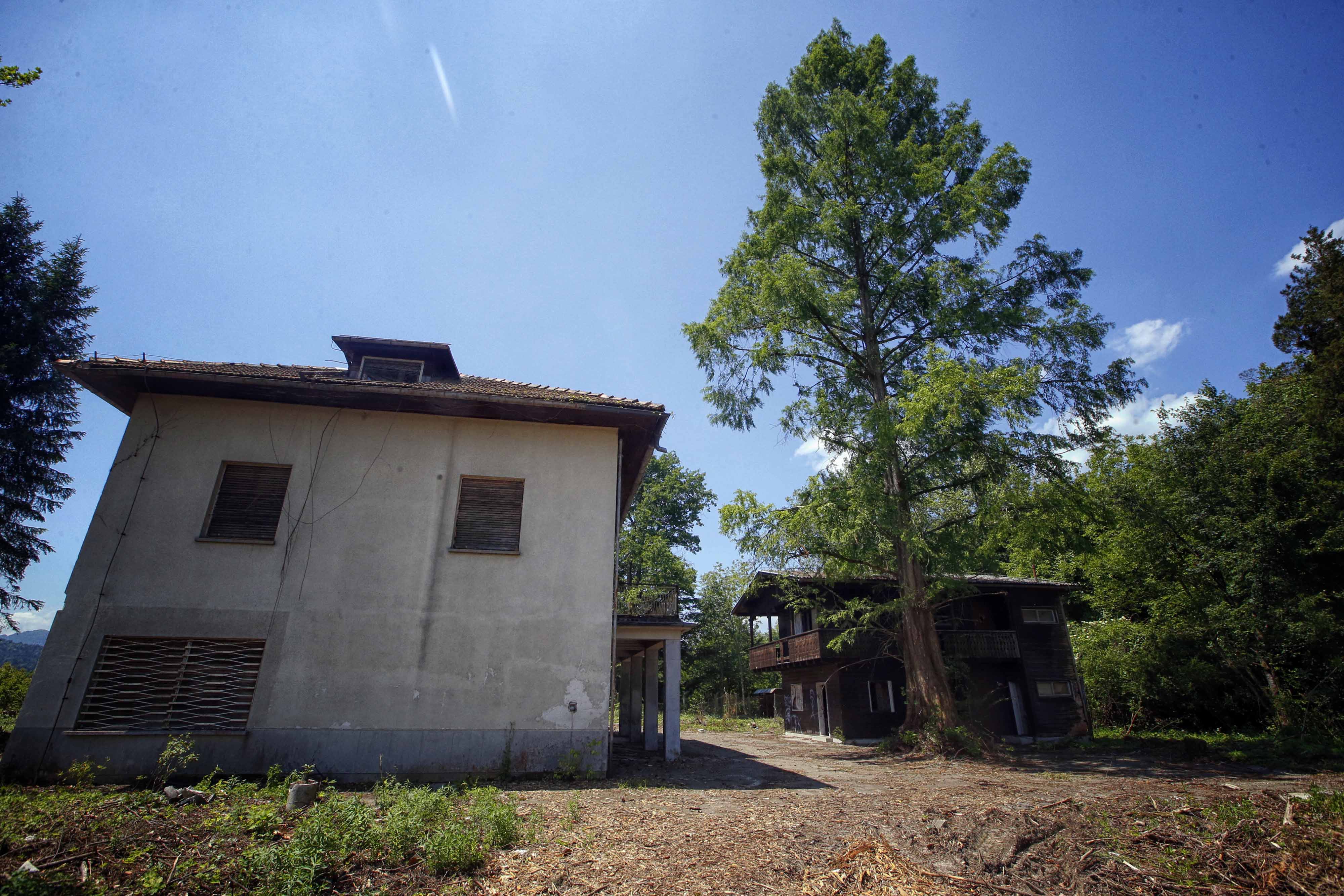 Borut Živulović/BOBO