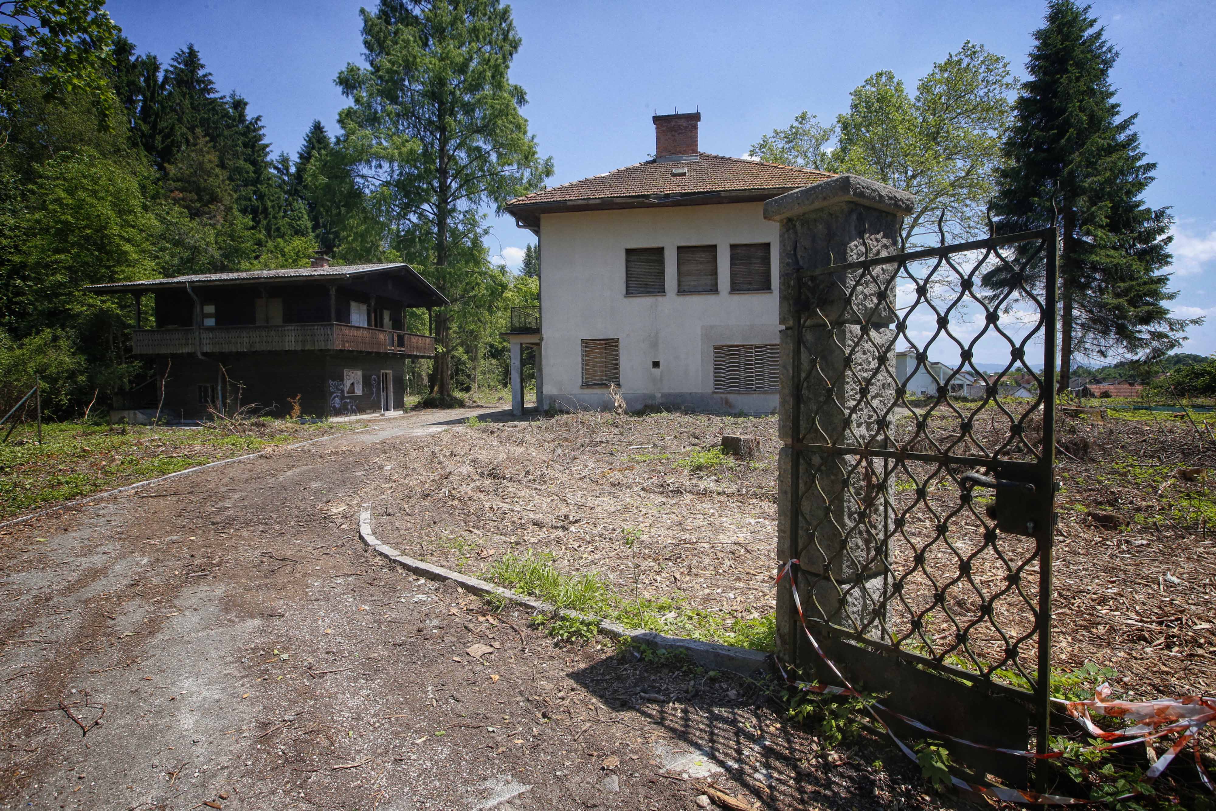 Borut Živulović/BOBO