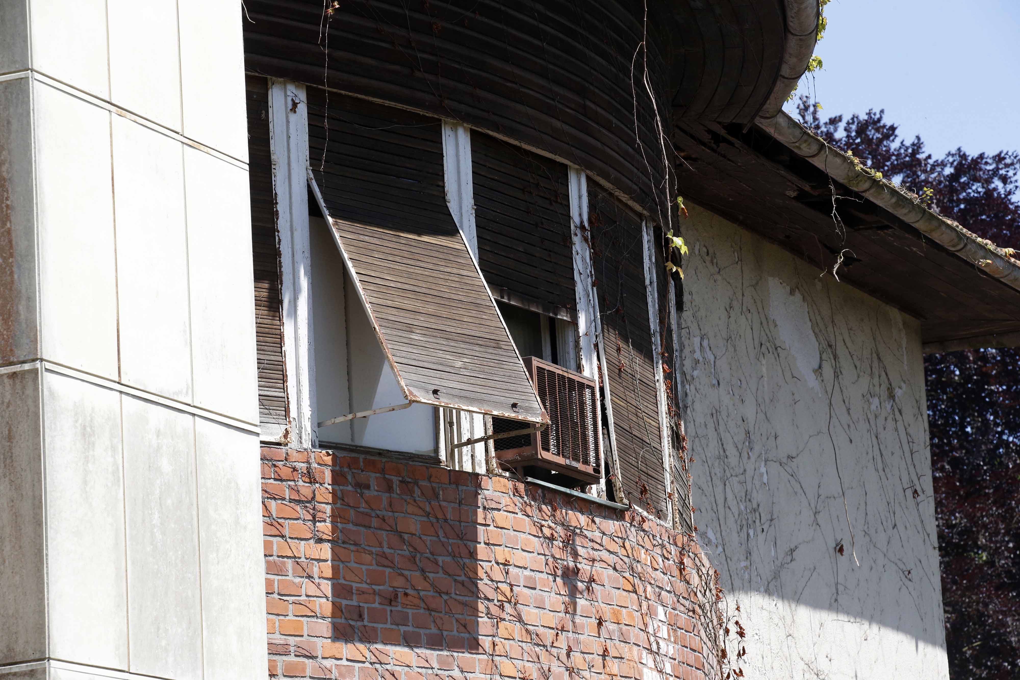 Borut Živulović/BOBO