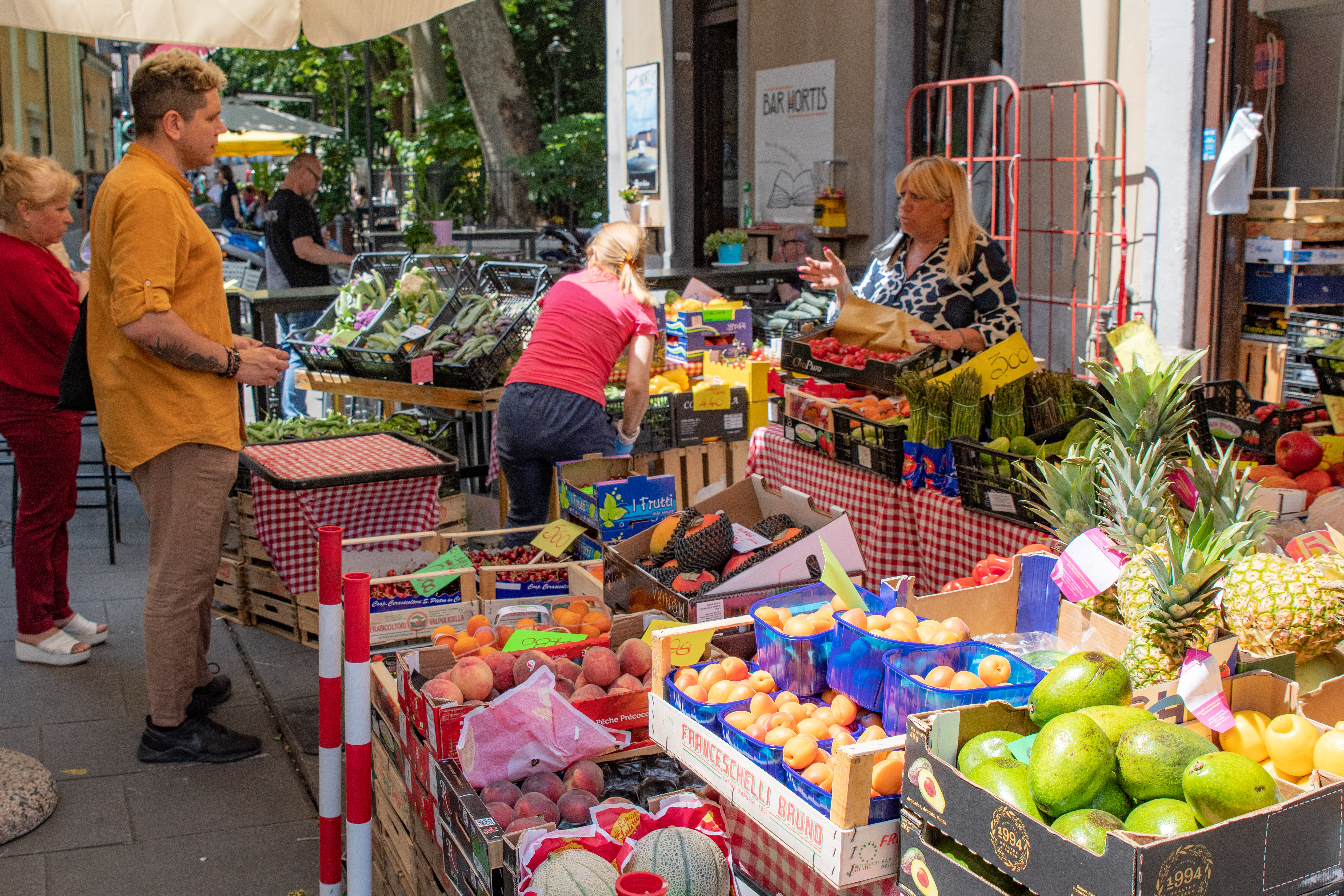 Foto: Denis Sadiković/N1