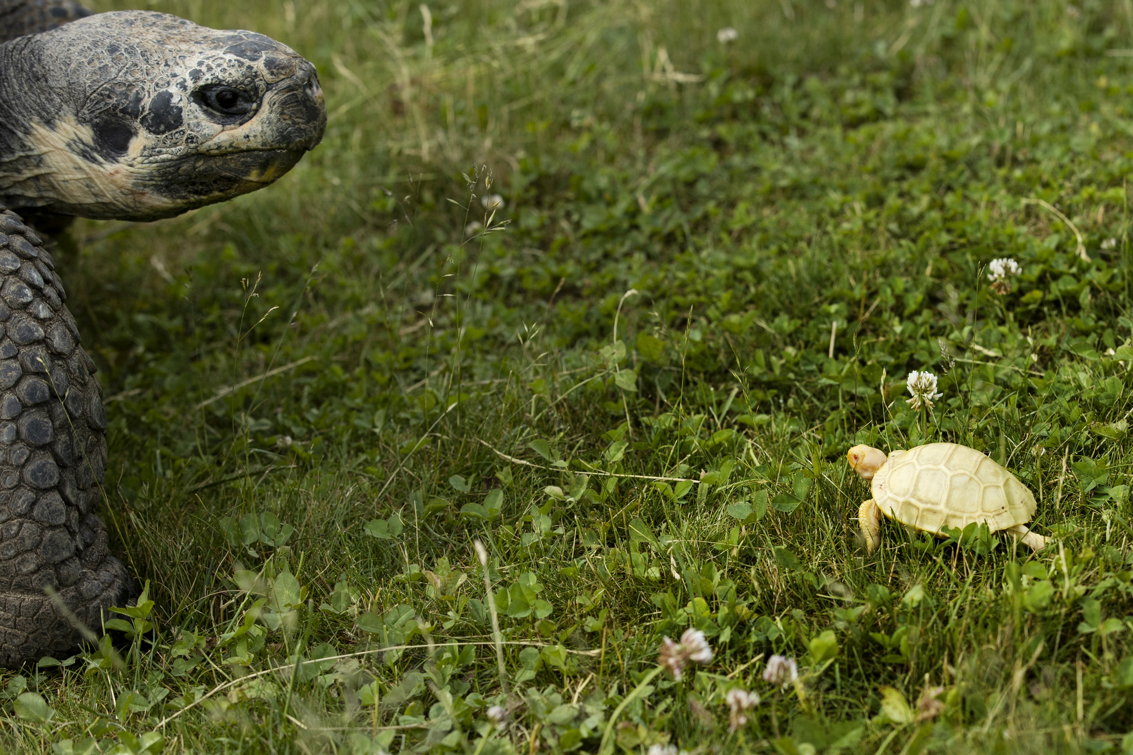 Denis Balibouse/REUTERS